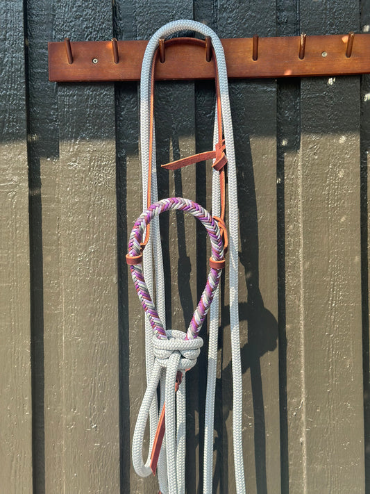 Wisteria Loping Hackamore