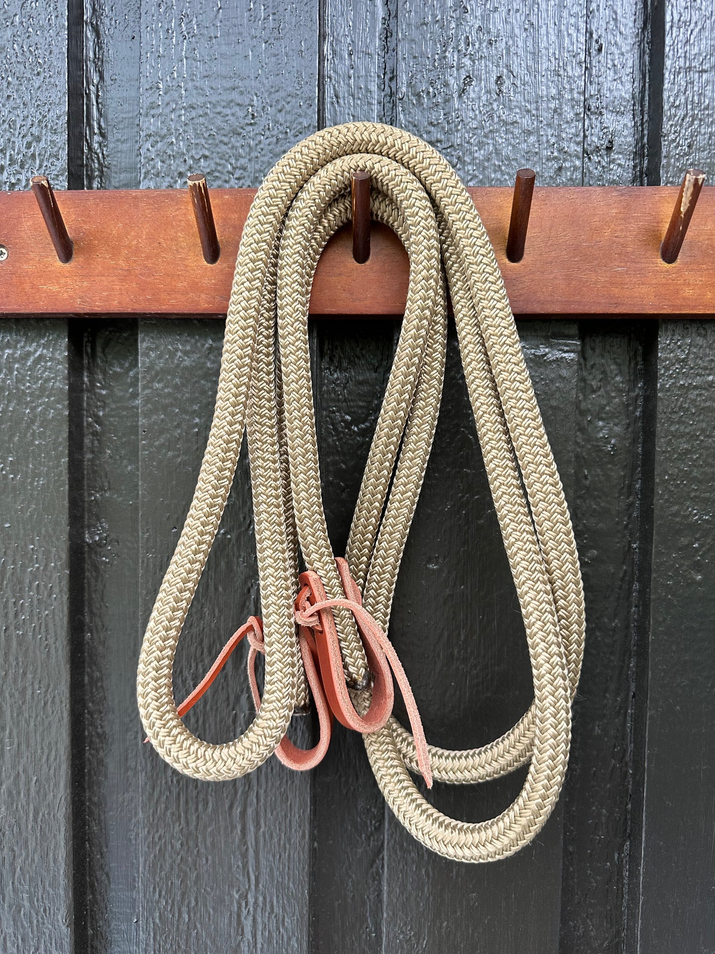 3m Loop Reins