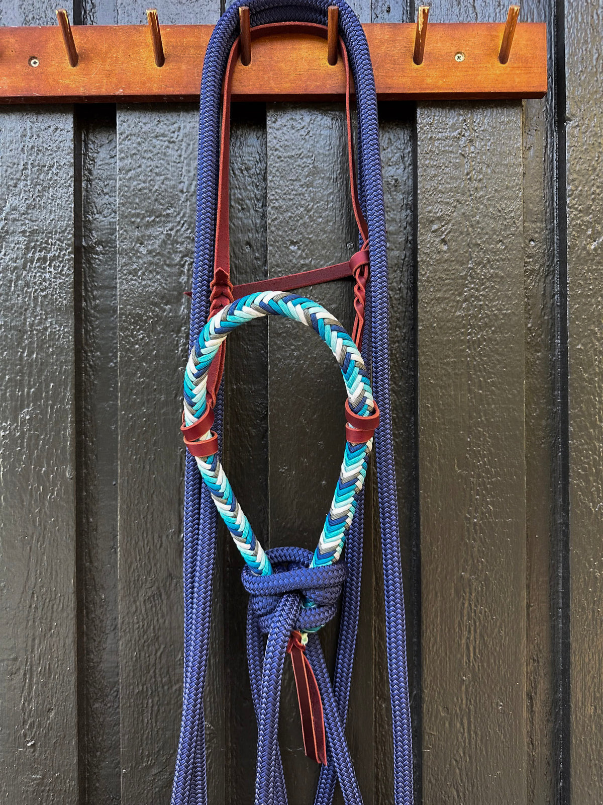 Midnight Rain Loping Hackamore