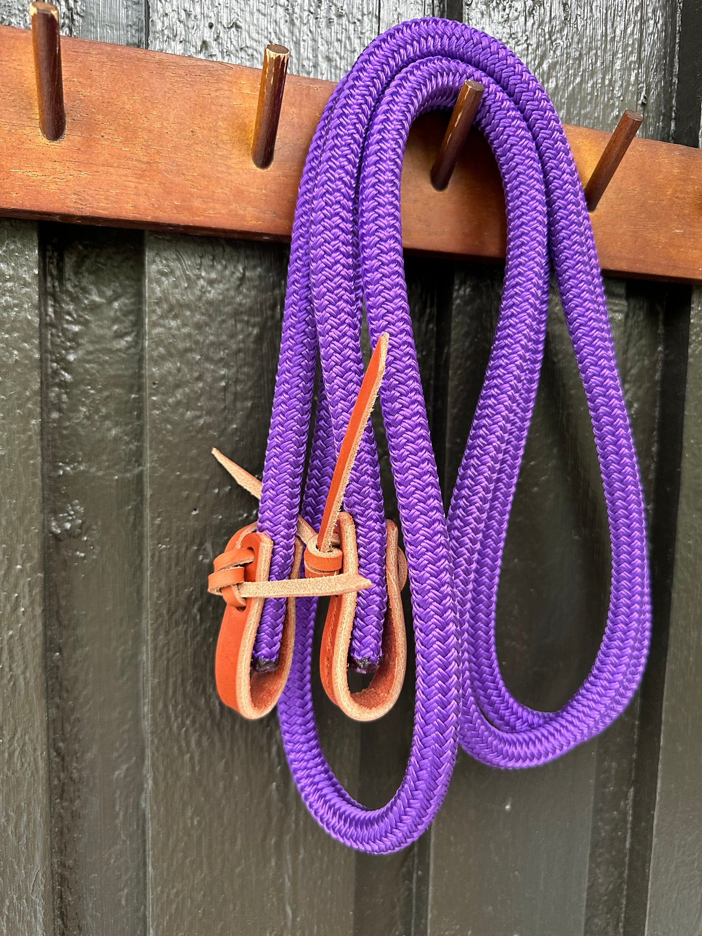 3m Loop Reins