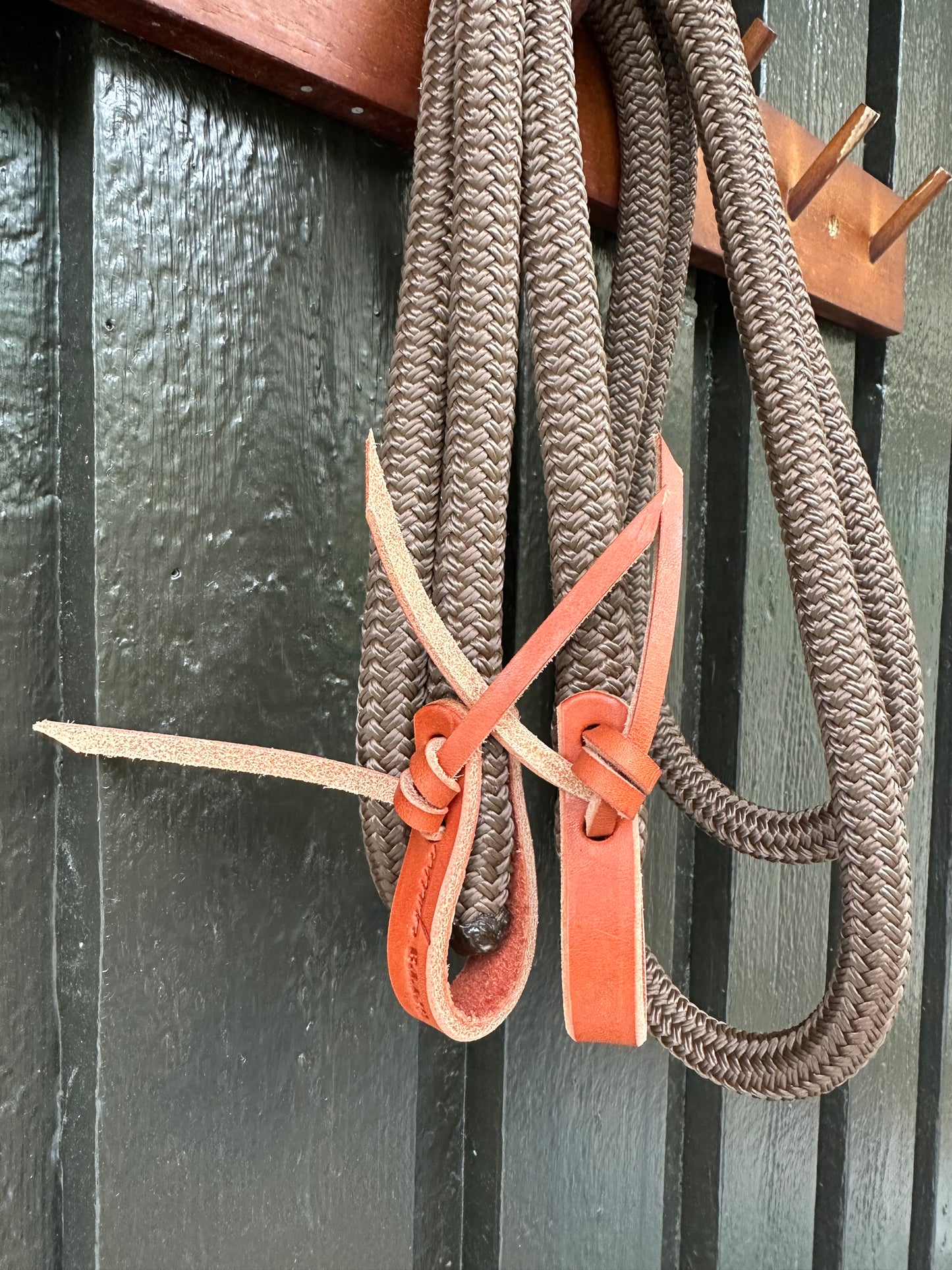 3m Loop Reins
