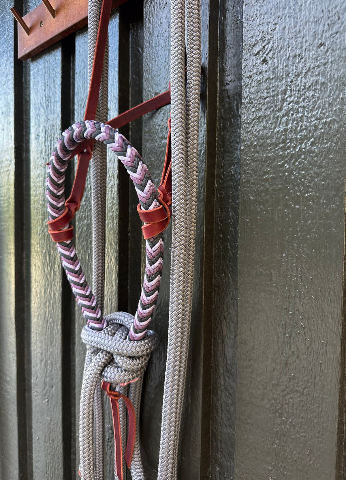 Lavender Haze Loping Hackamore