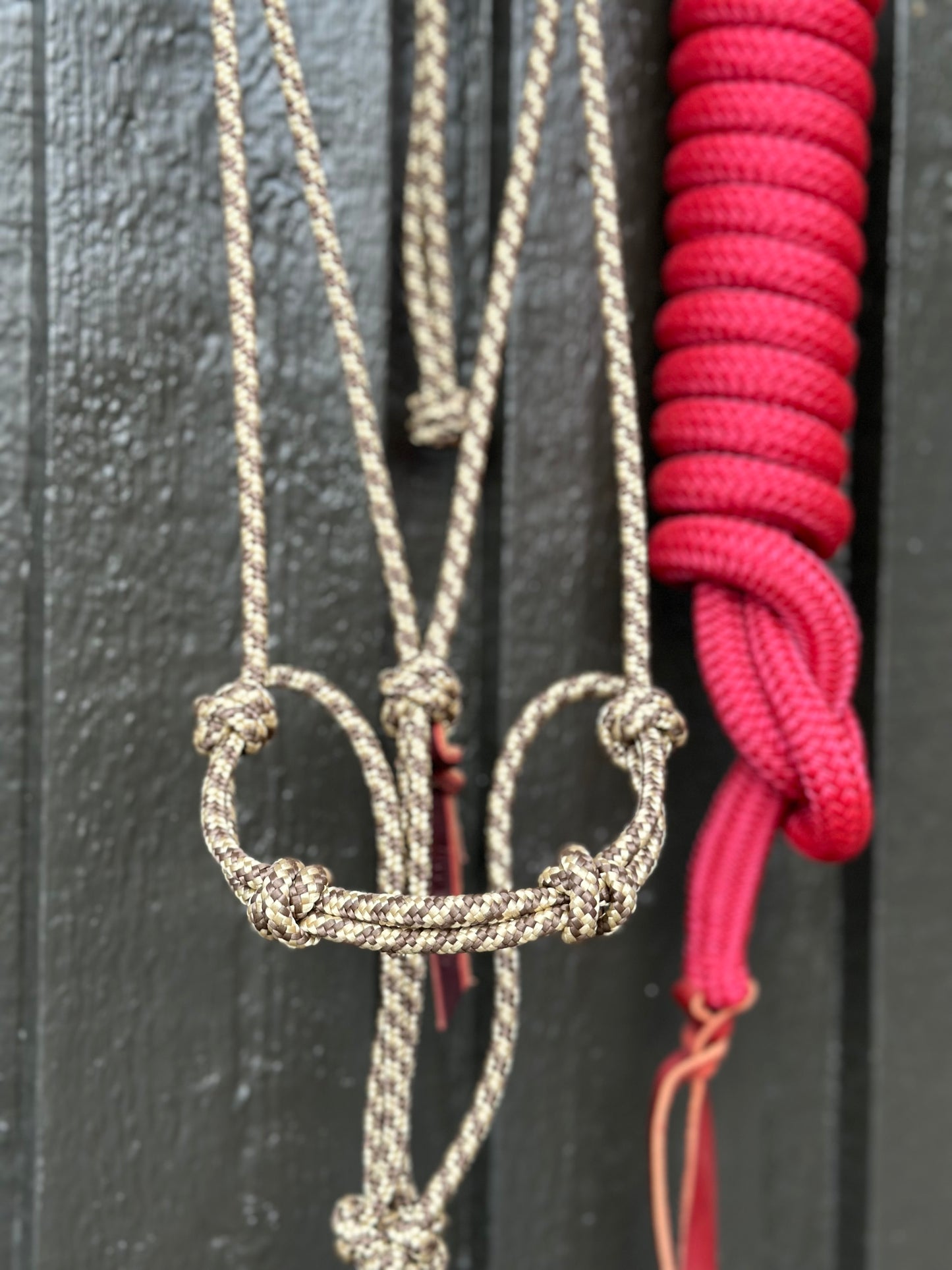 Praline Halter & Raspberry Rope Set (Avg./ 3.6m)