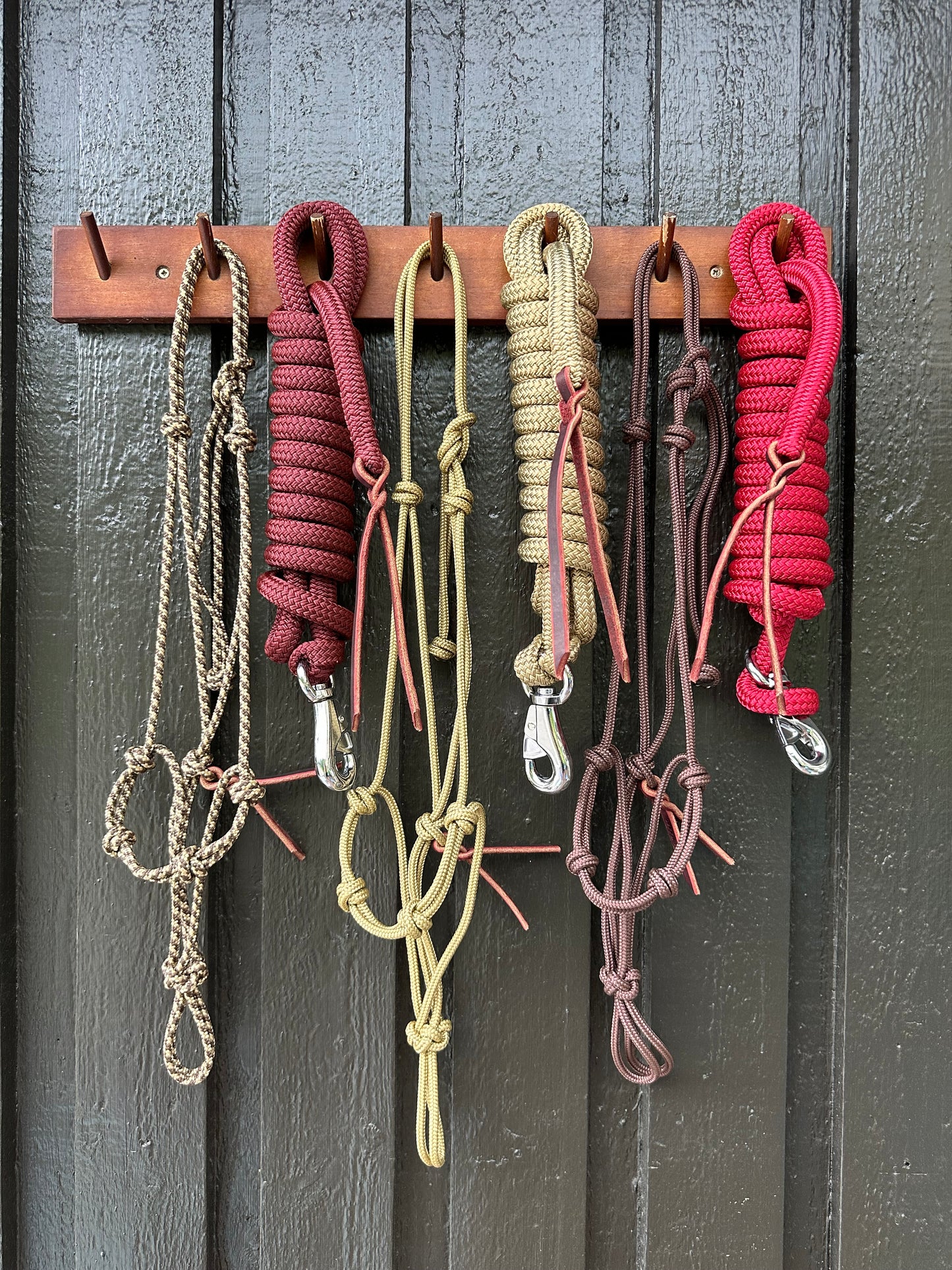 Golden Halter & Rope Set (Avg./ 3.6m)