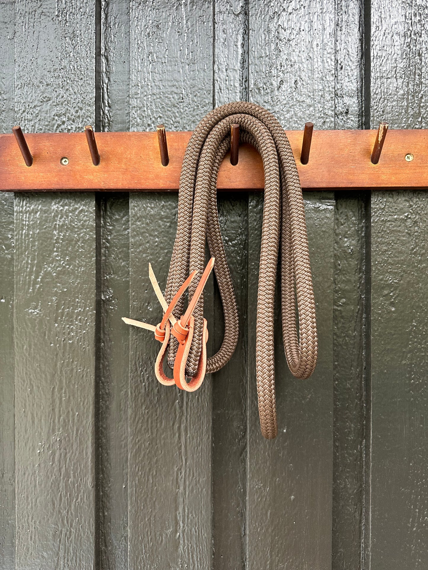 3m Loop Reins