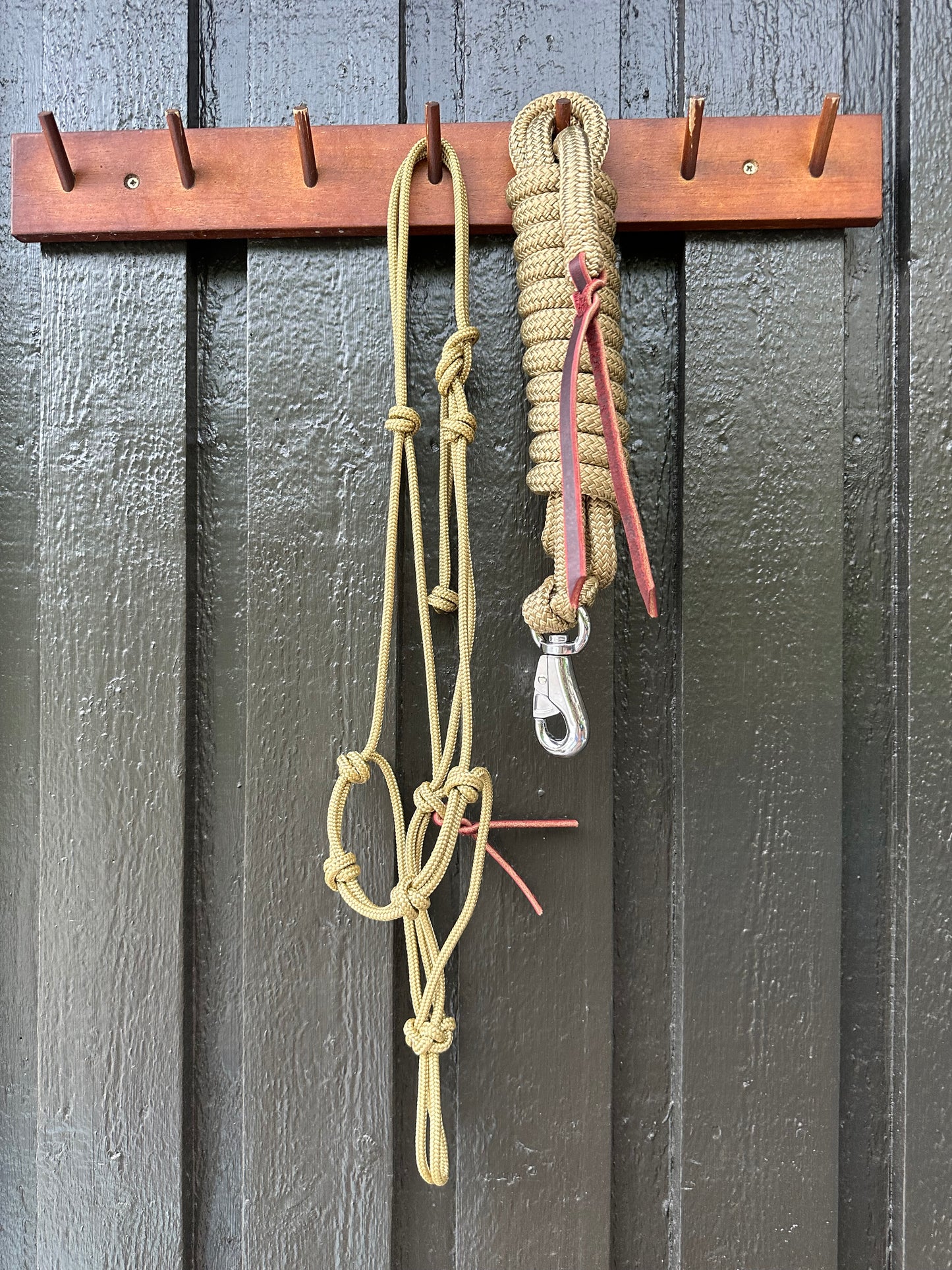 Golden Halter & Rope Set (Avg./ 3.6m)