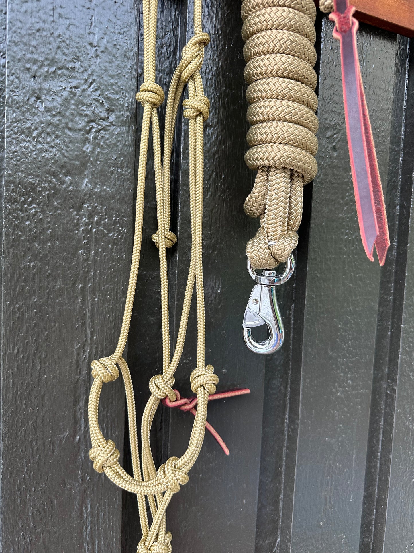 Golden Halter & Rope Set (Avg./ 3.6m)