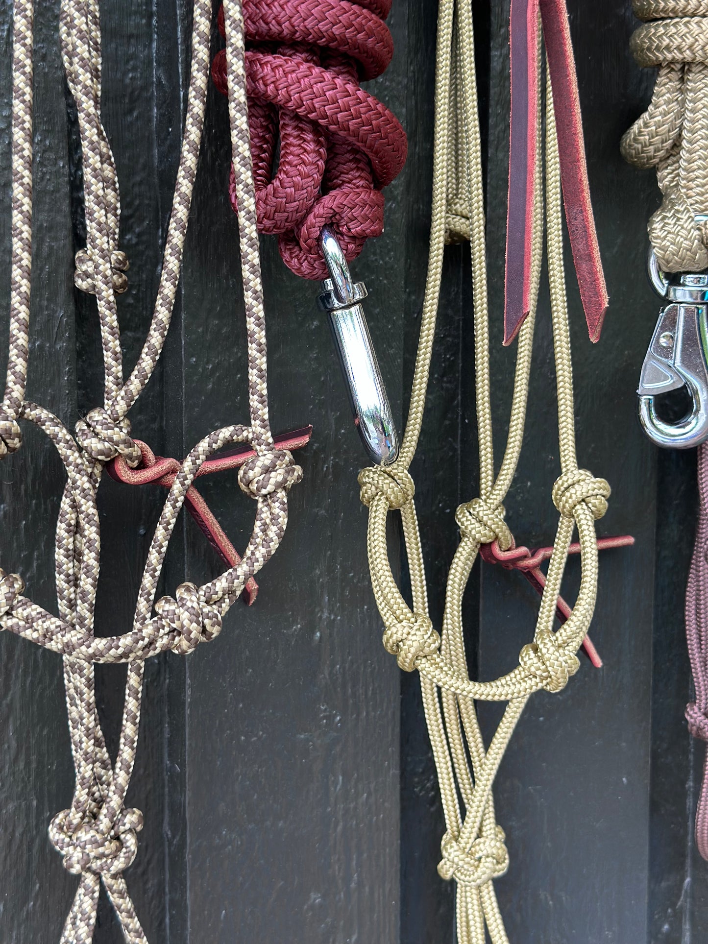 Praline Halter & Roasted Aubergine Rope Set (Avg./ 3.6m)