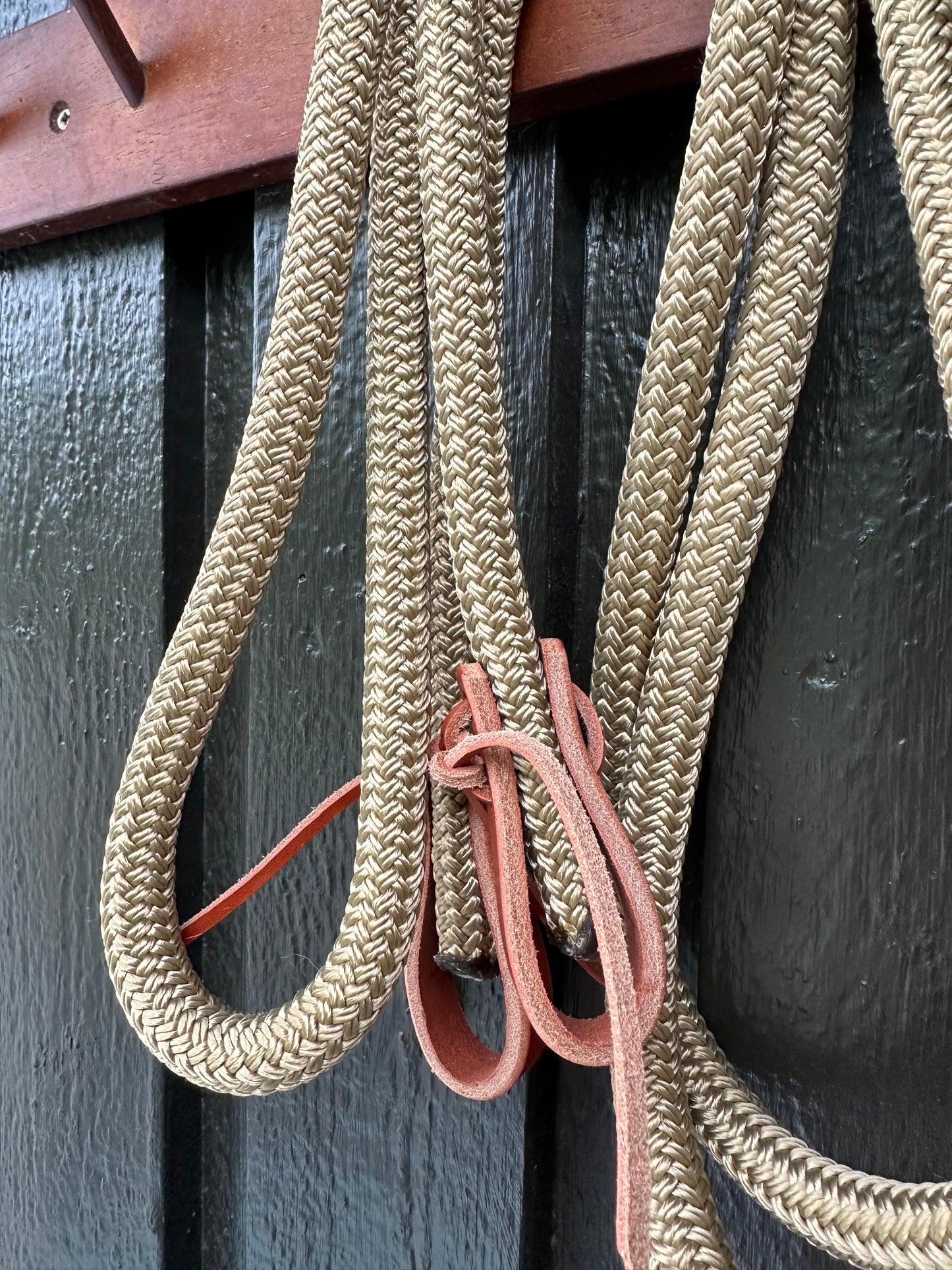 3m Loop Reins