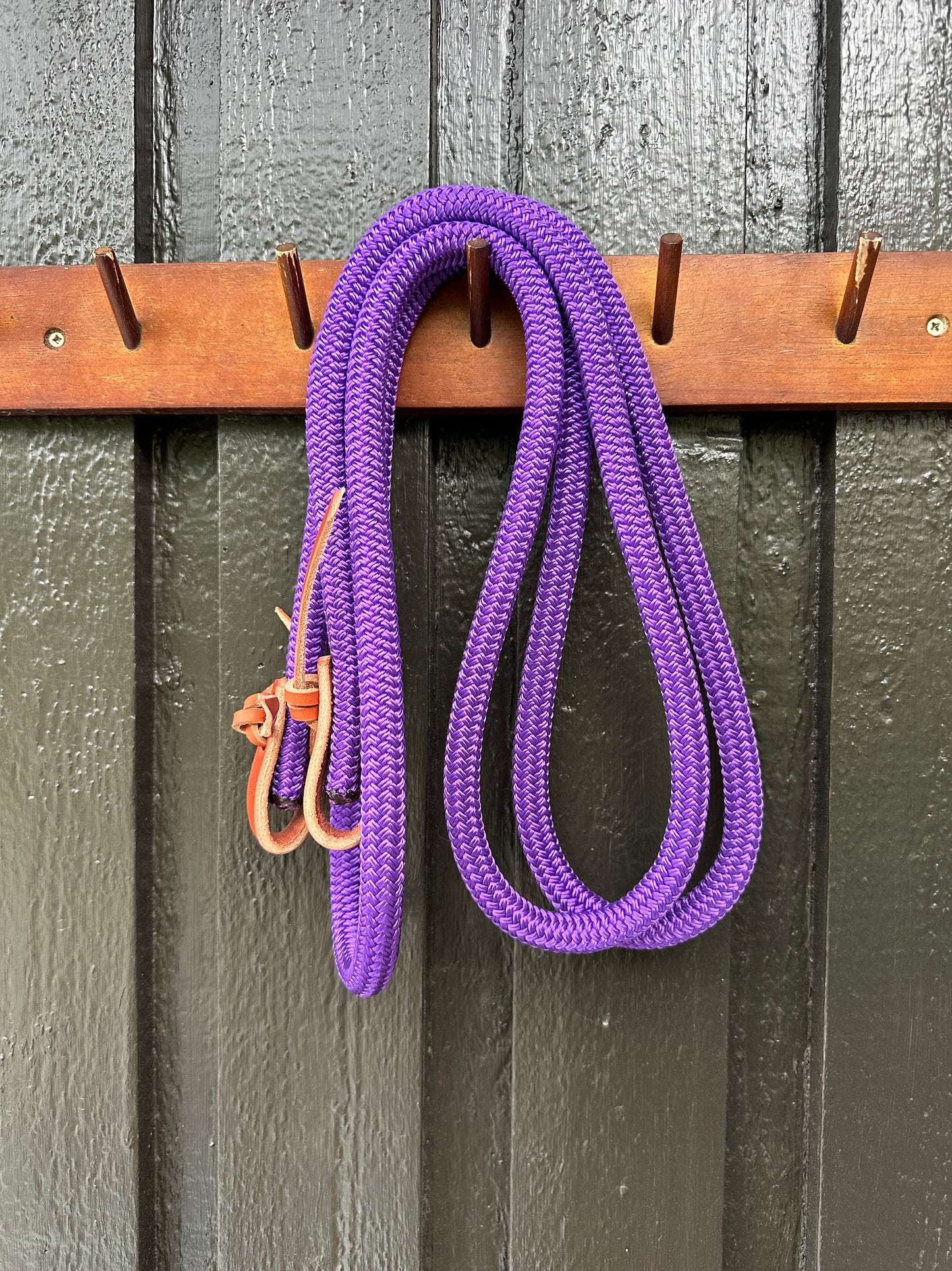 3m Loop Reins