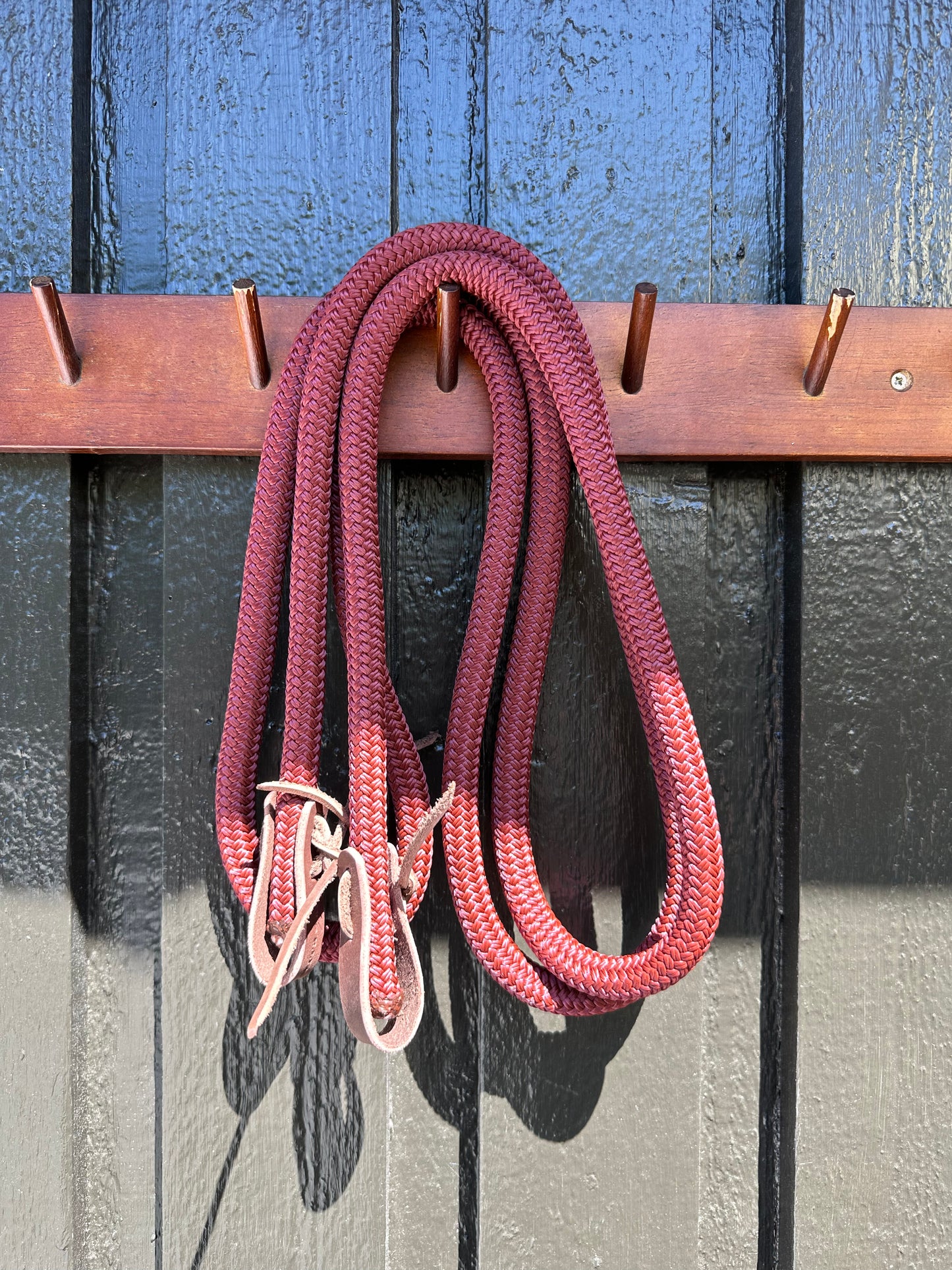 3m Loop Reins