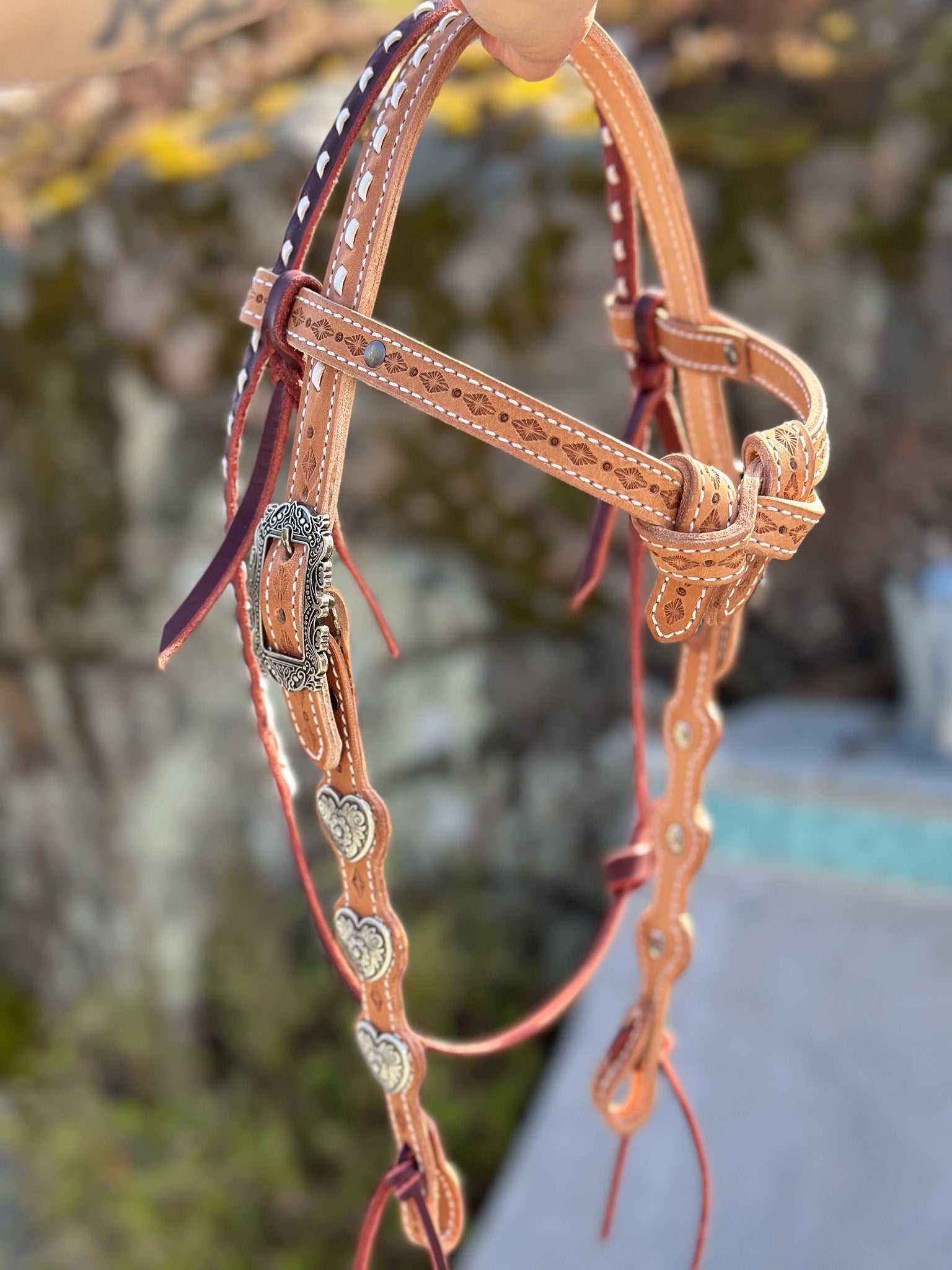 IMG_9428_jpg.jpg__PID:441c3d15-46fa-4355-9e26-76d3517c4cd2