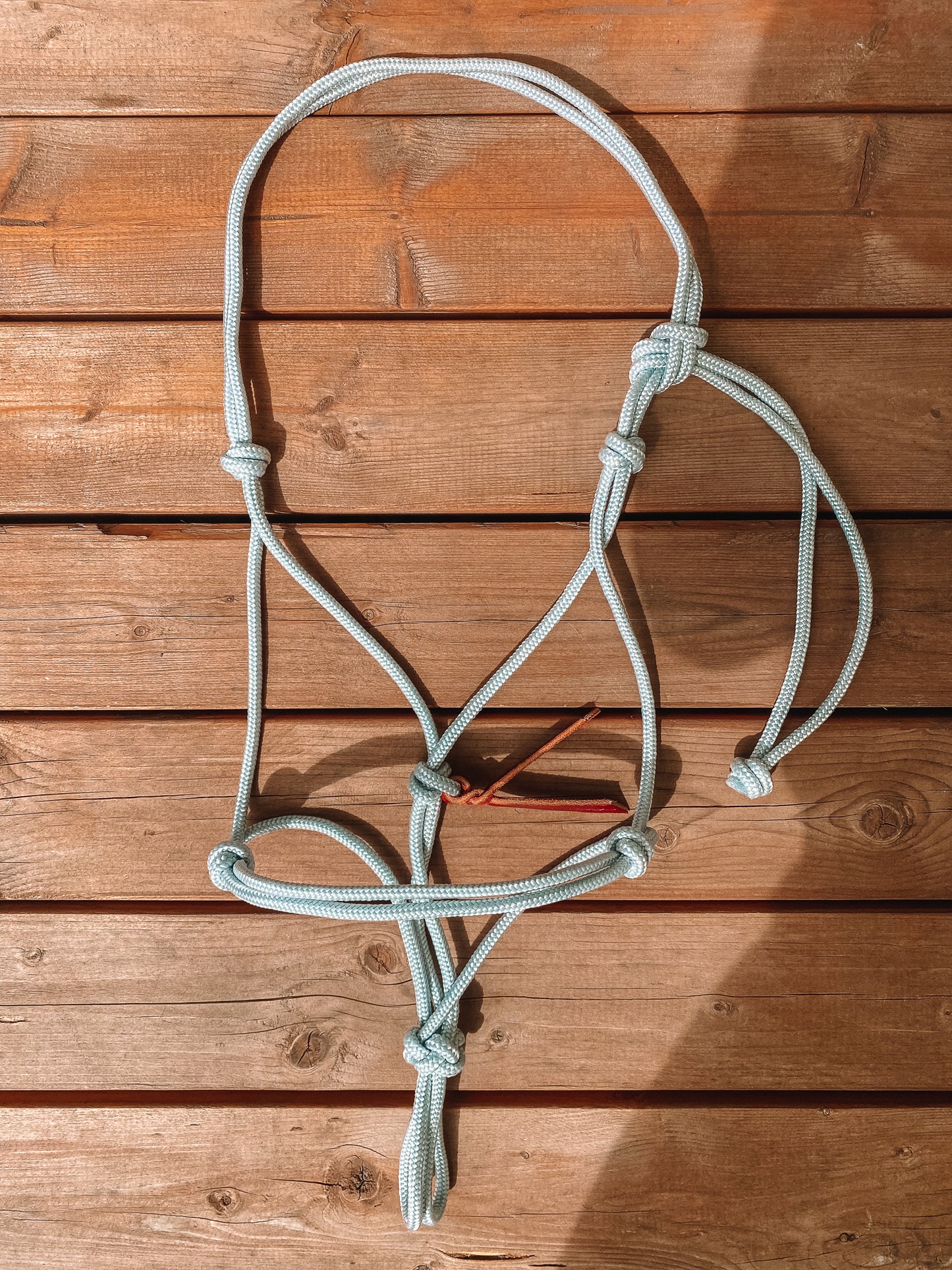 Rope Halter (Cob/ Small Quarter Size)