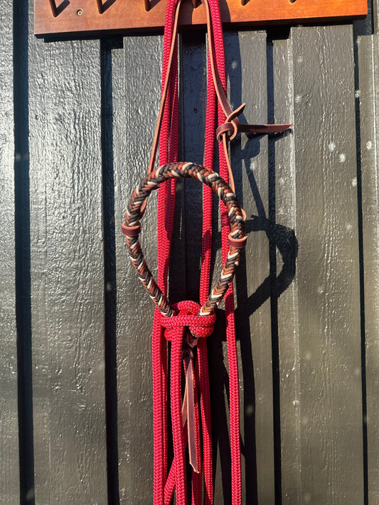 Copper Beech Loping Hackamore