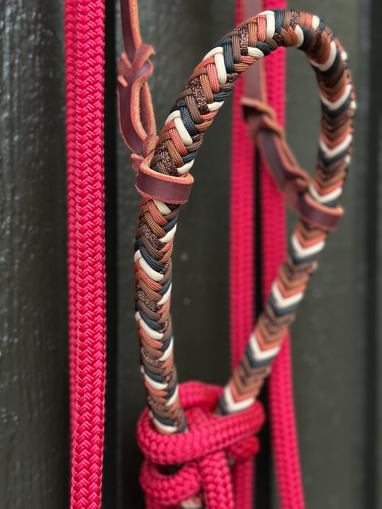 Copper Beech Loping Hackamore