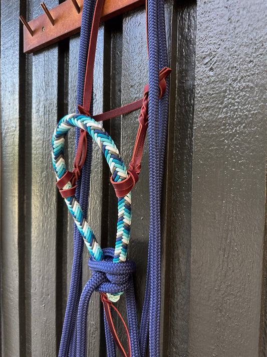 Midnight Rain Loping Hackamore