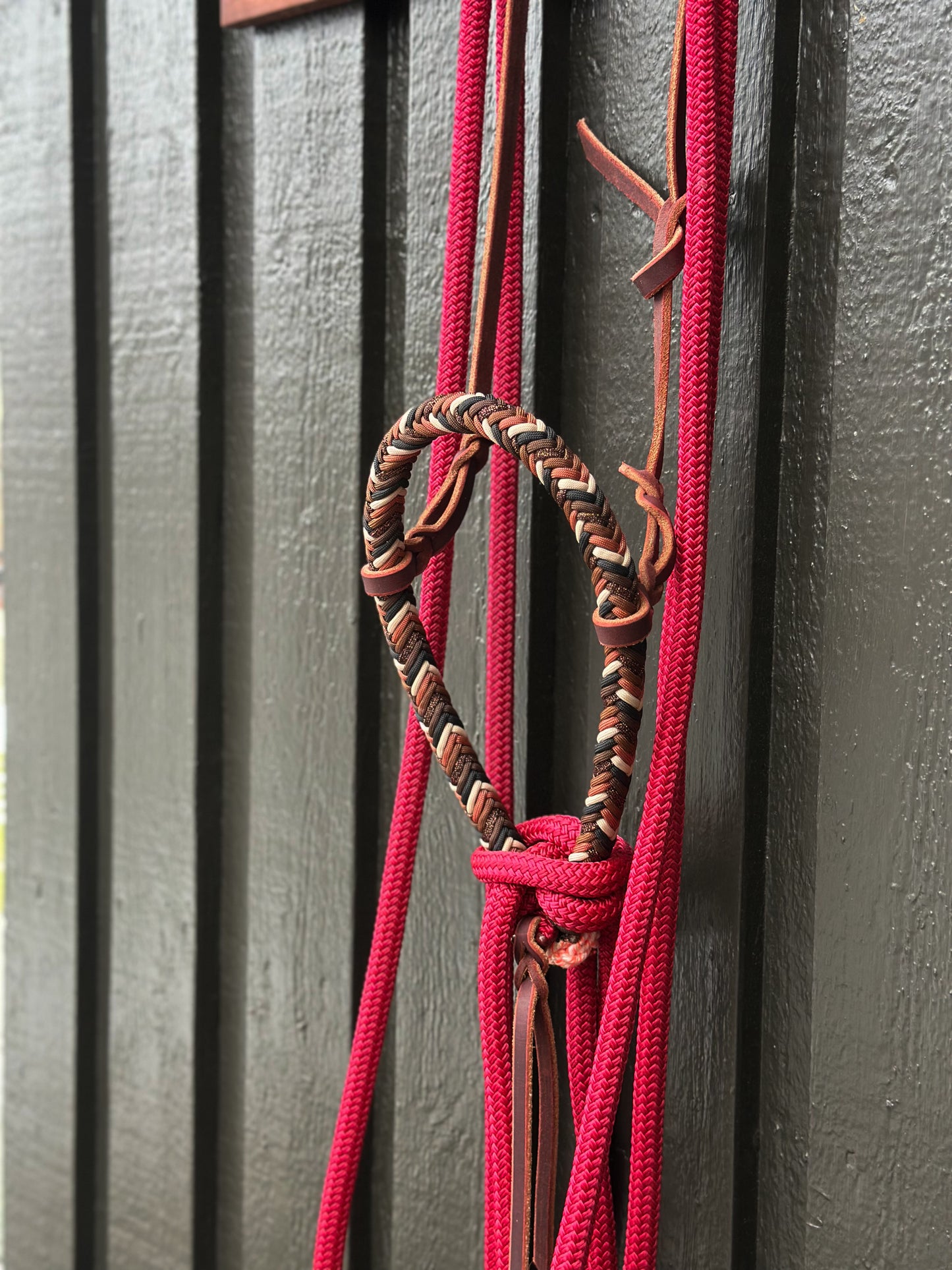 Copper Beech Loping Hackamore