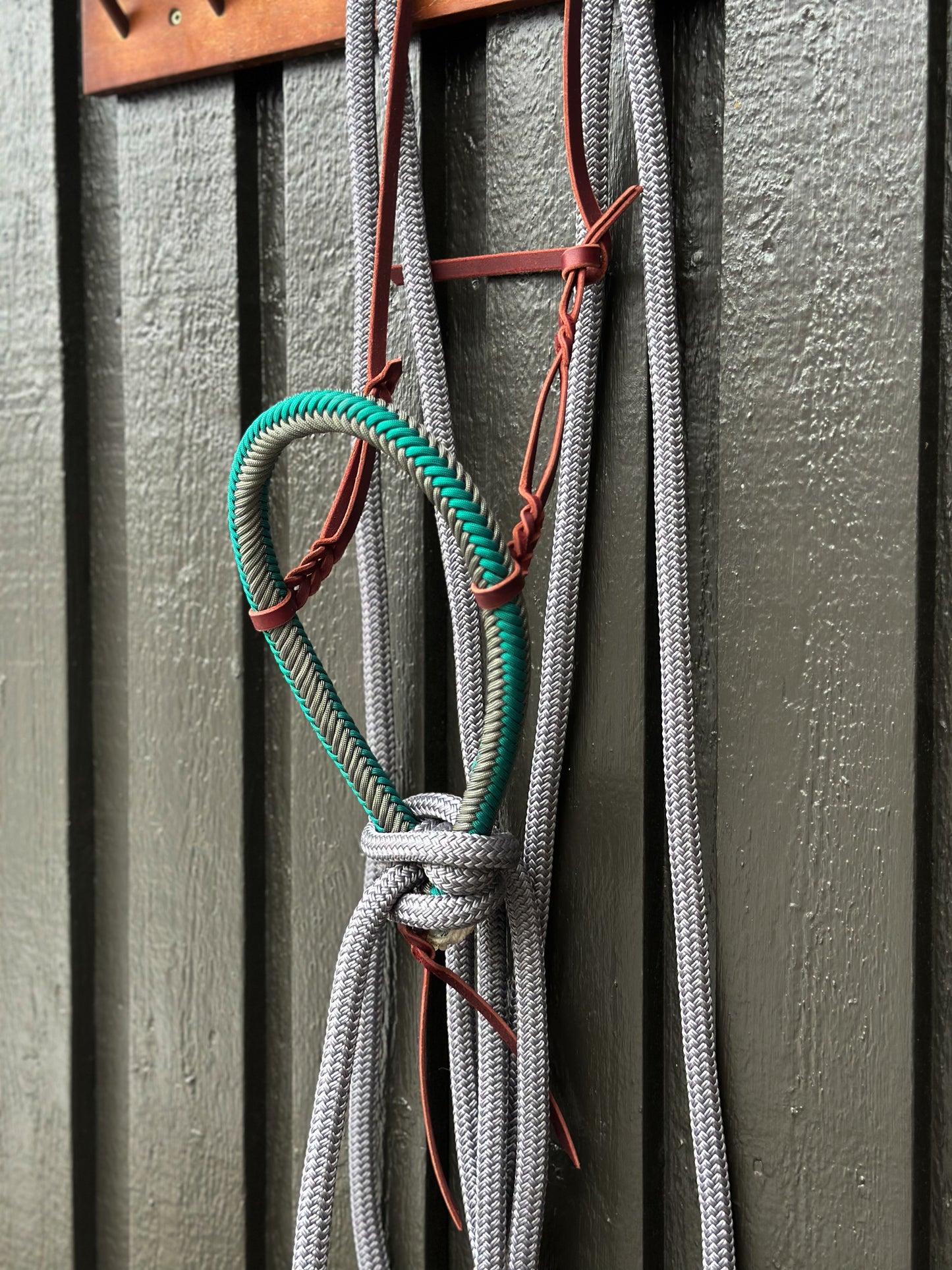 Silvermound Loping Hackamore