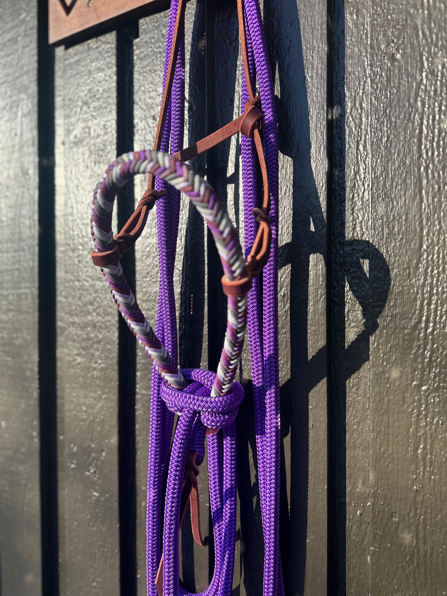 Wisteria Loping Hackamore