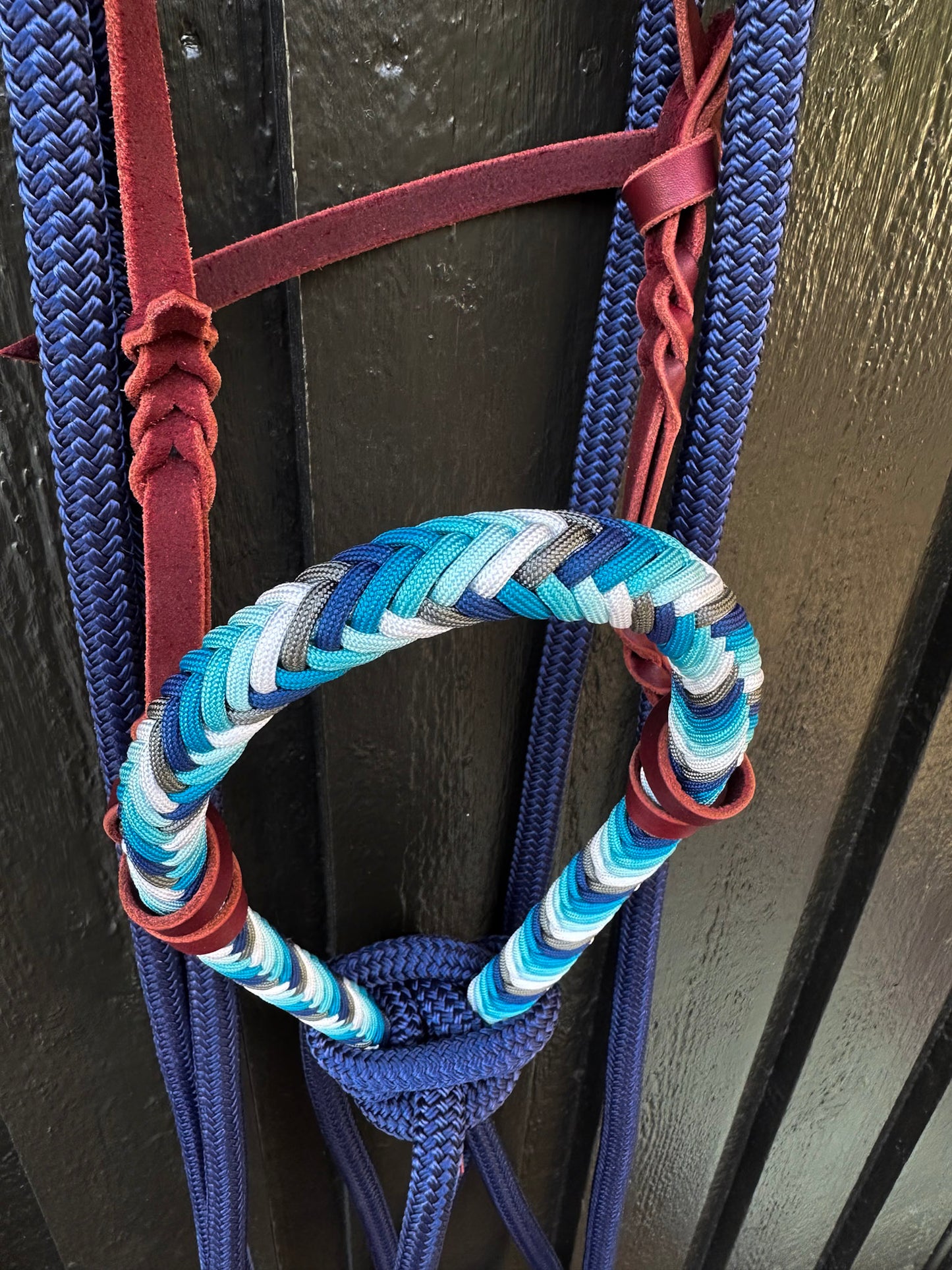 Midnight Rain Loping Hackamore