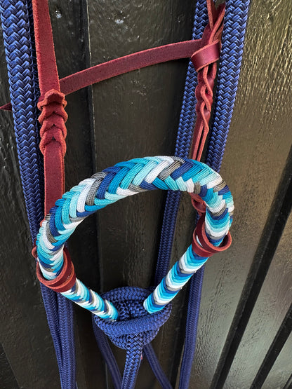 Midnight Rain Loping Hackamore