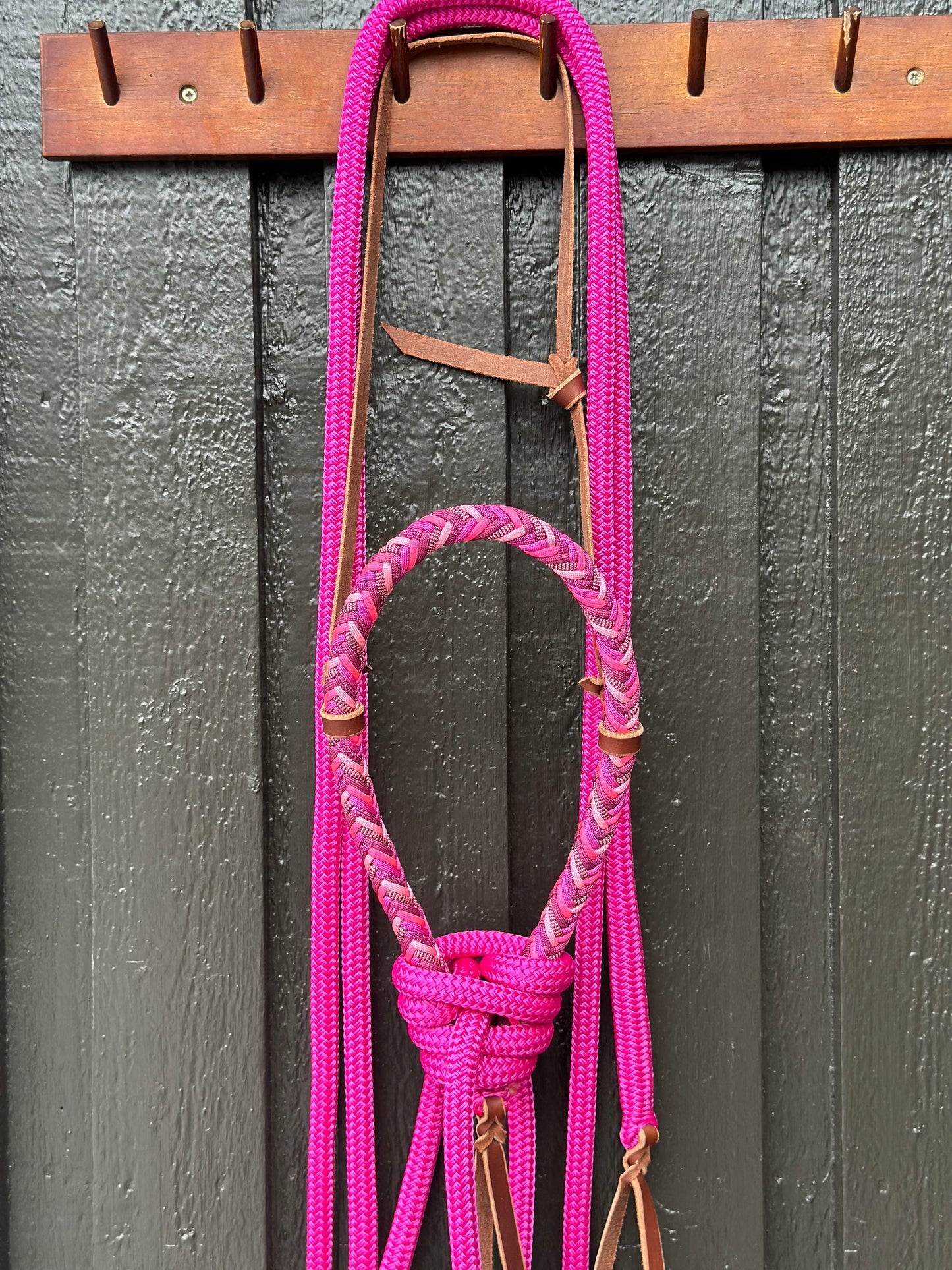 Loping Hackamore Candy Cane