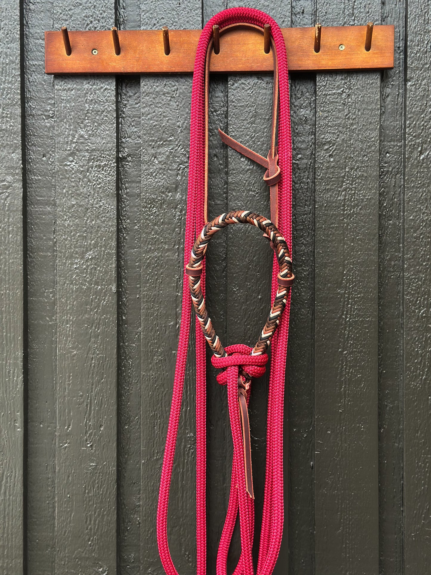 Copper Beech Loping Hackamore