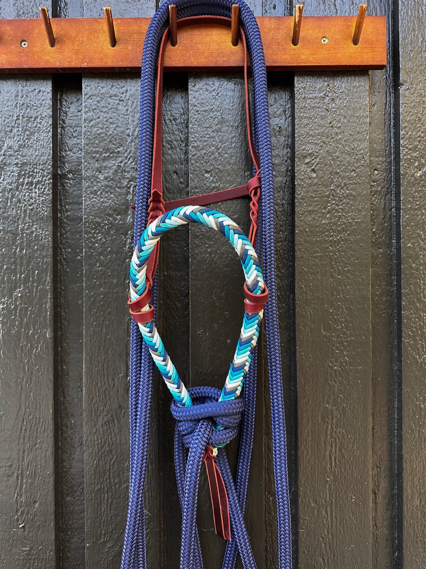 Midnight Rain Loping Hackamore