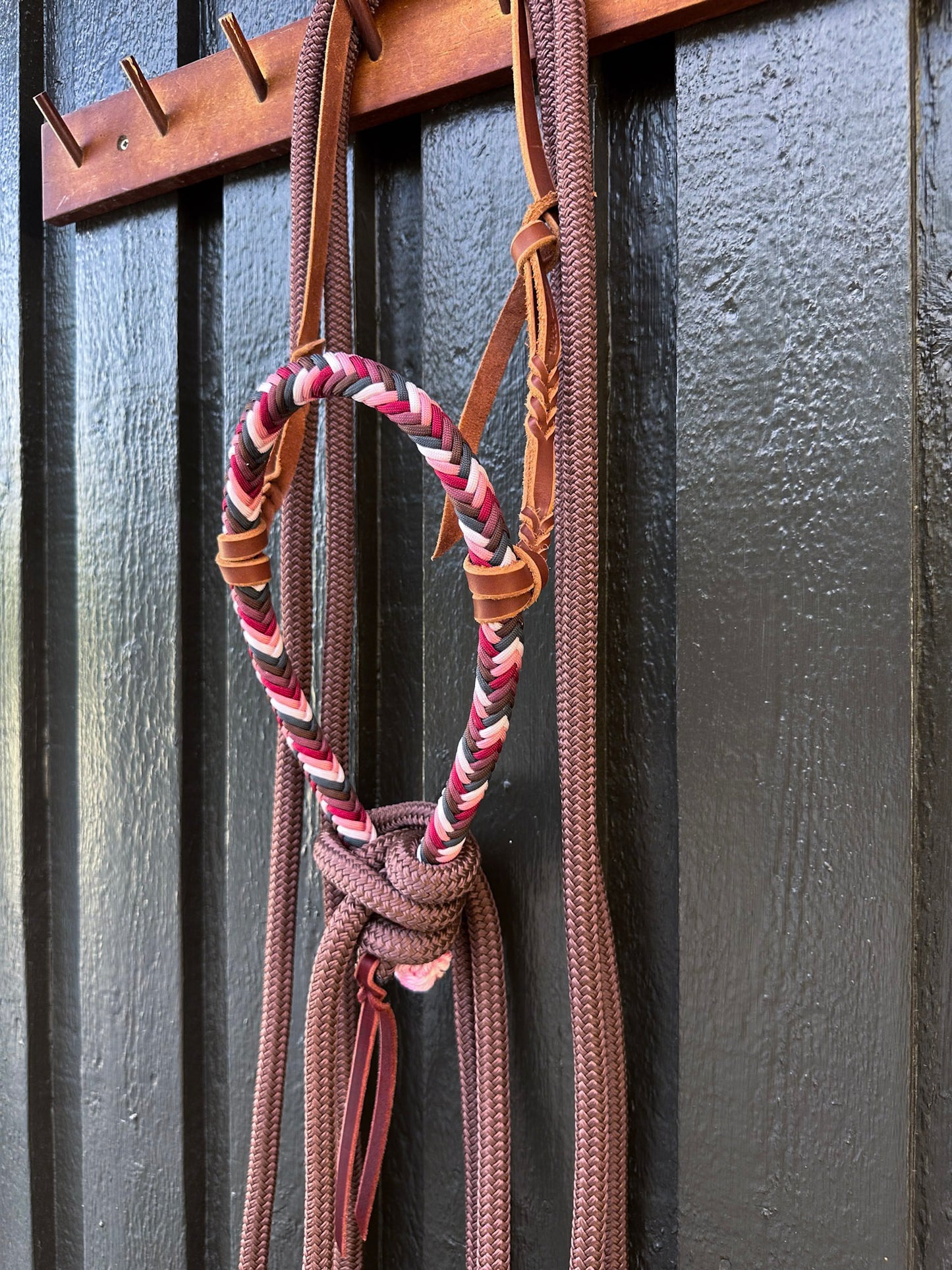 Maroon Loping Hackamore