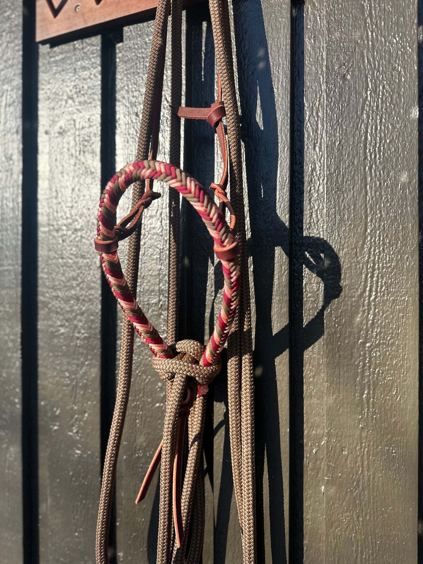 Rosebud Loping Hackamore