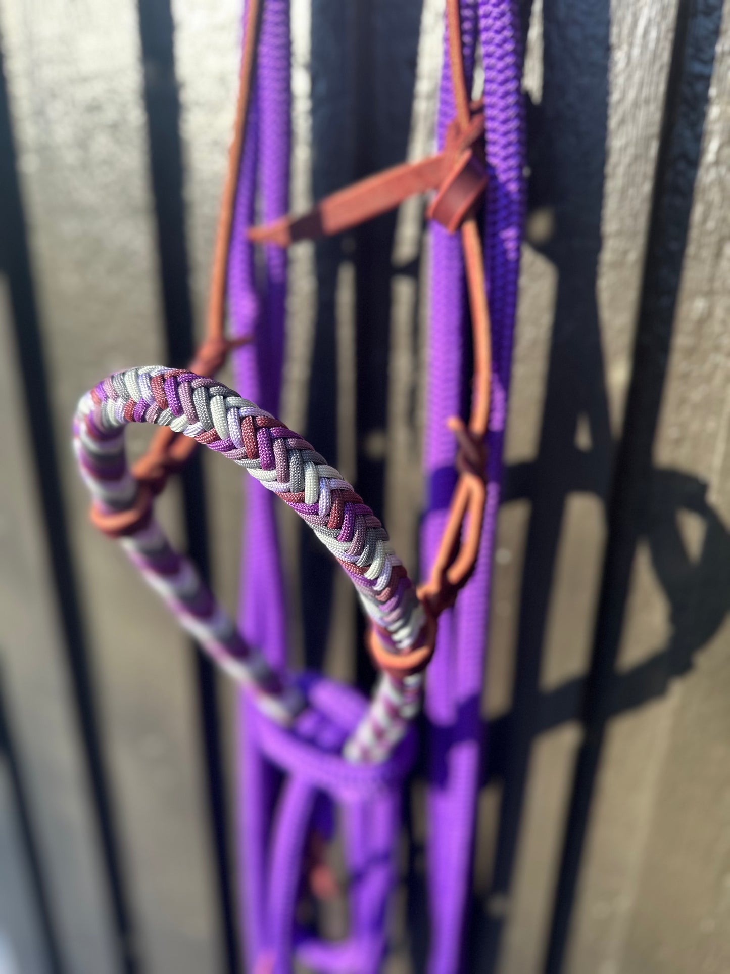 Wisteria Loping Hackamore