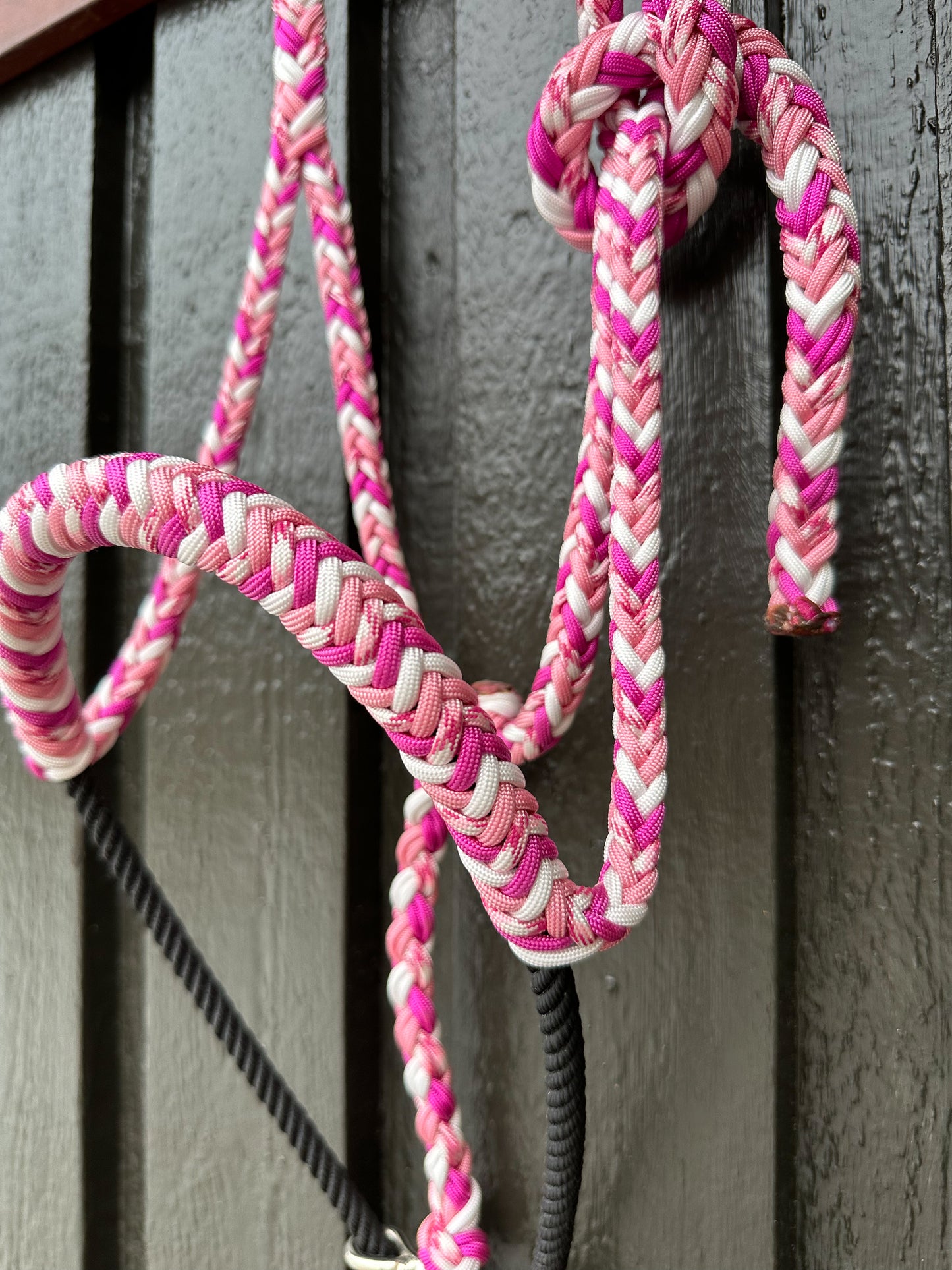 Lariat Halter “Candy Cane”