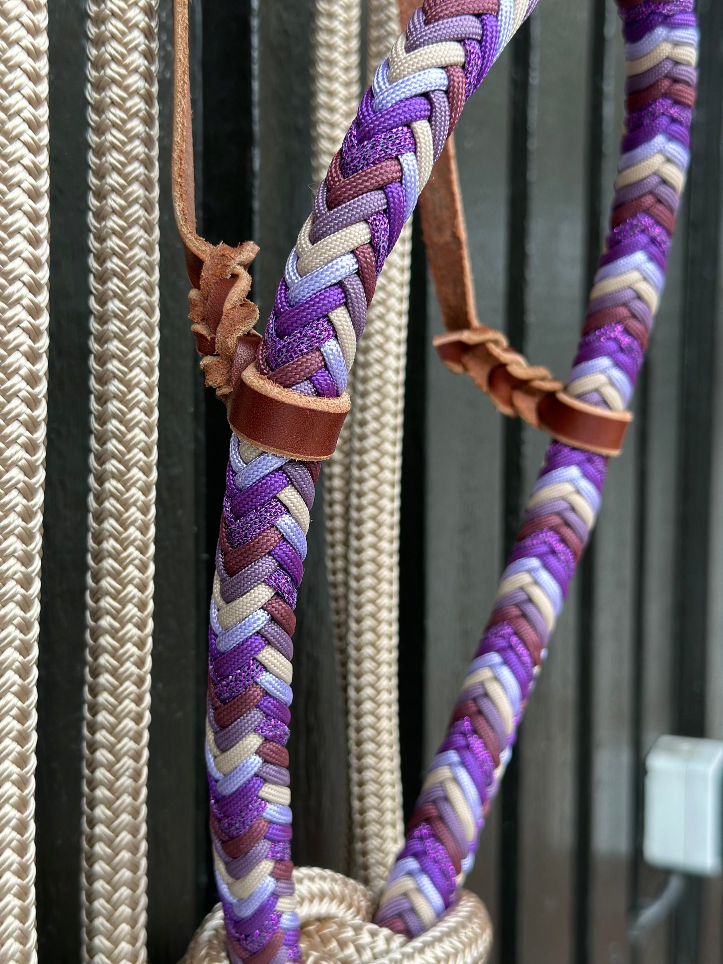 Loping Hackamore Purple Rain