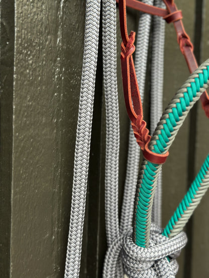 Silvermound Loping Hackamore