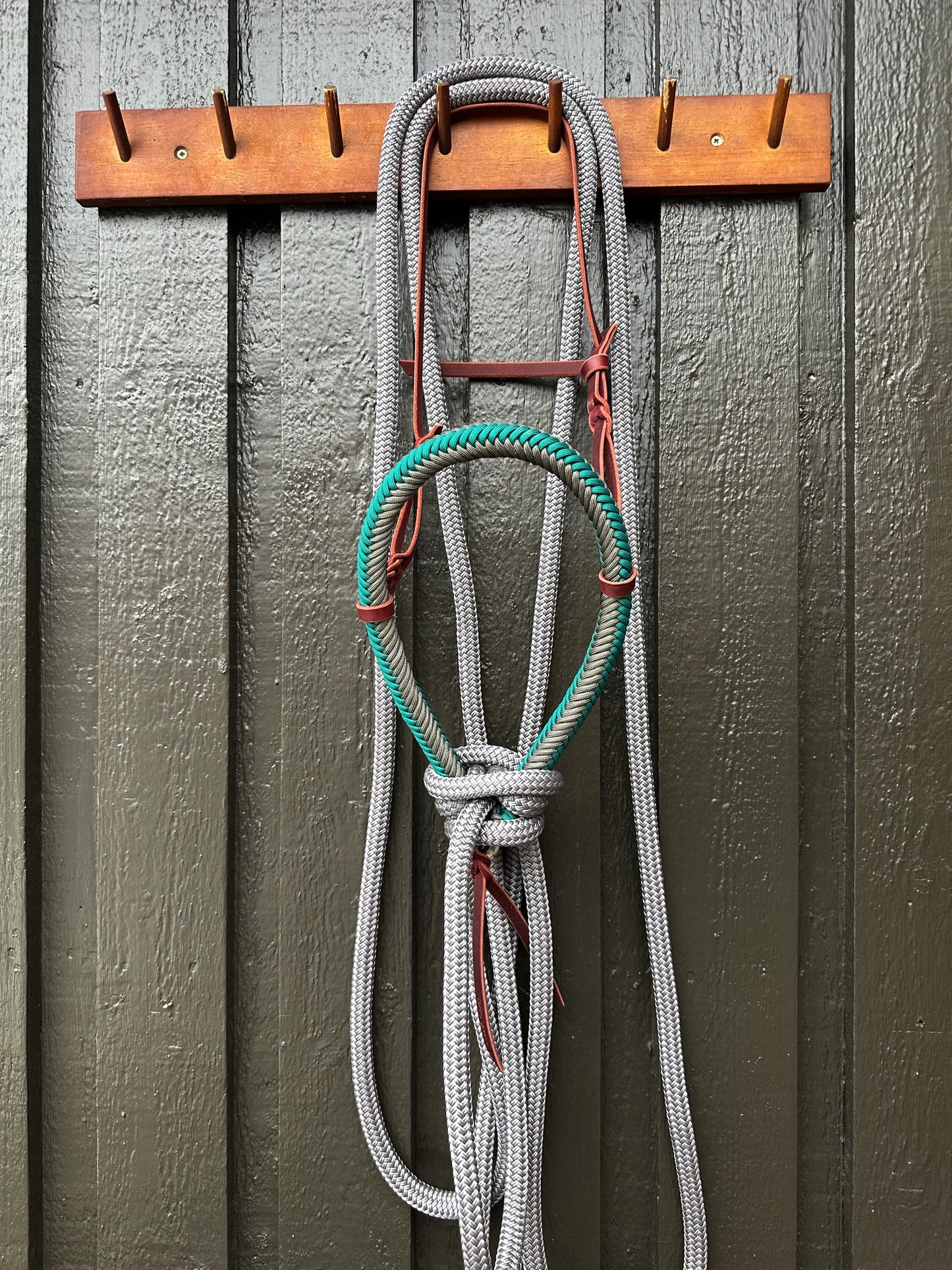 Silvermound Loping Hackamore