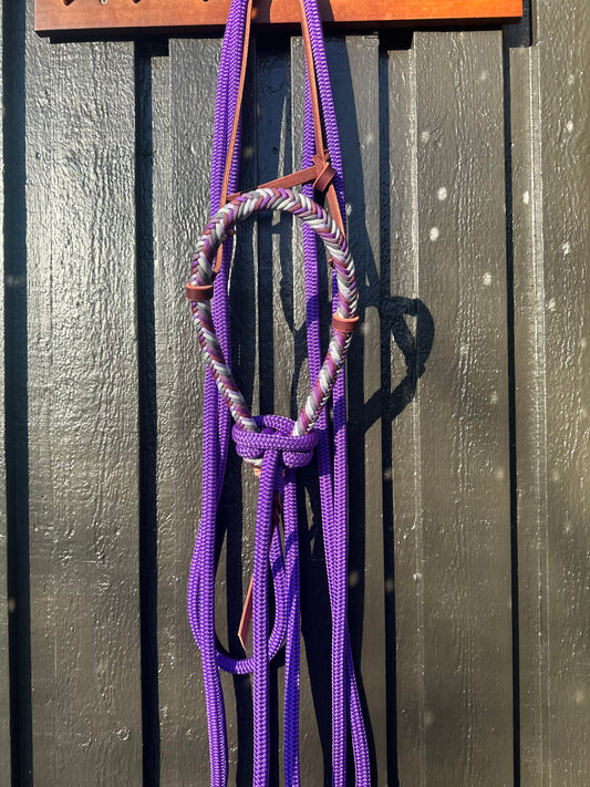 Wisteria Loping Hackamore