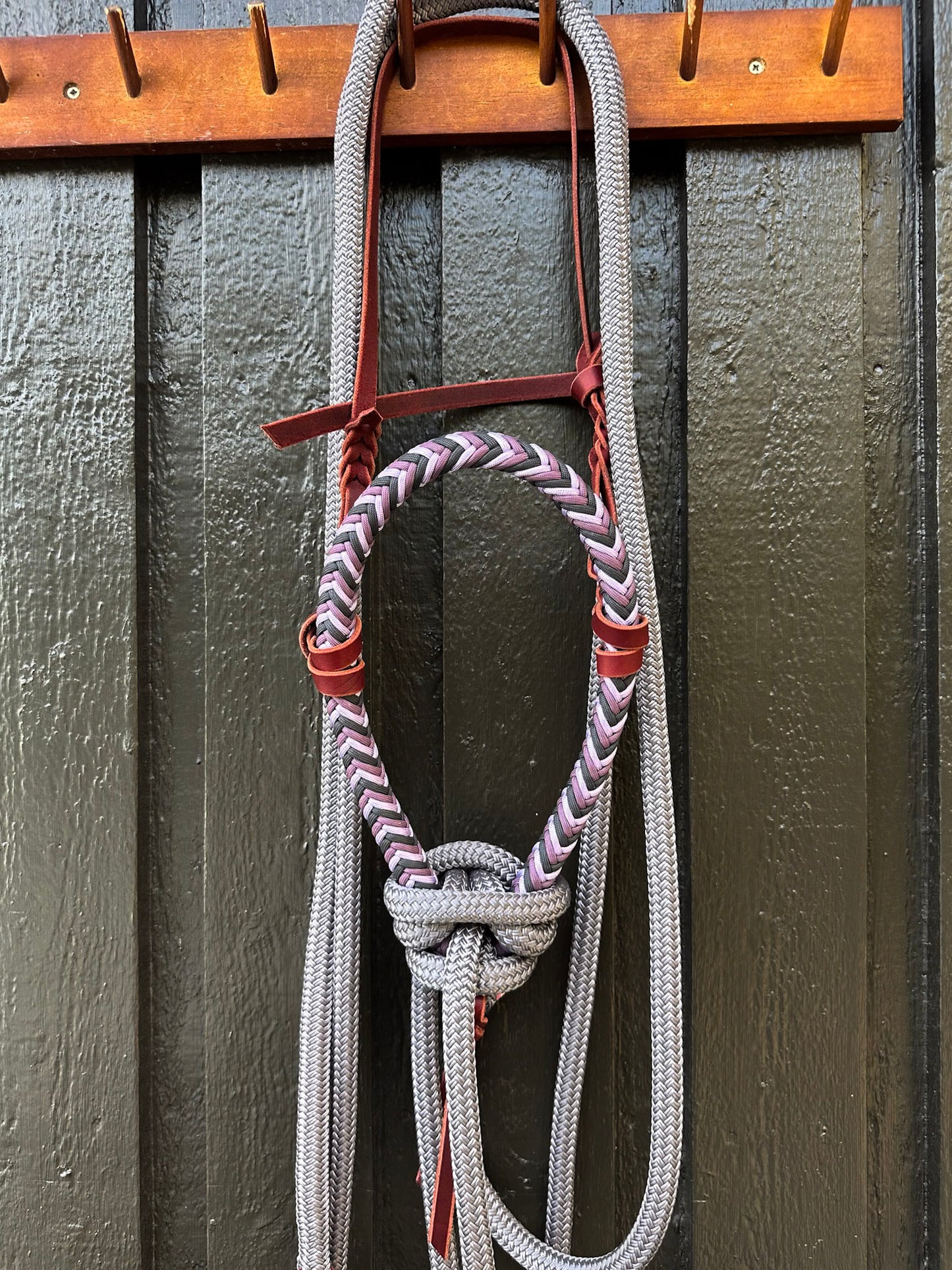 Lavender Haze Loping Hackamore