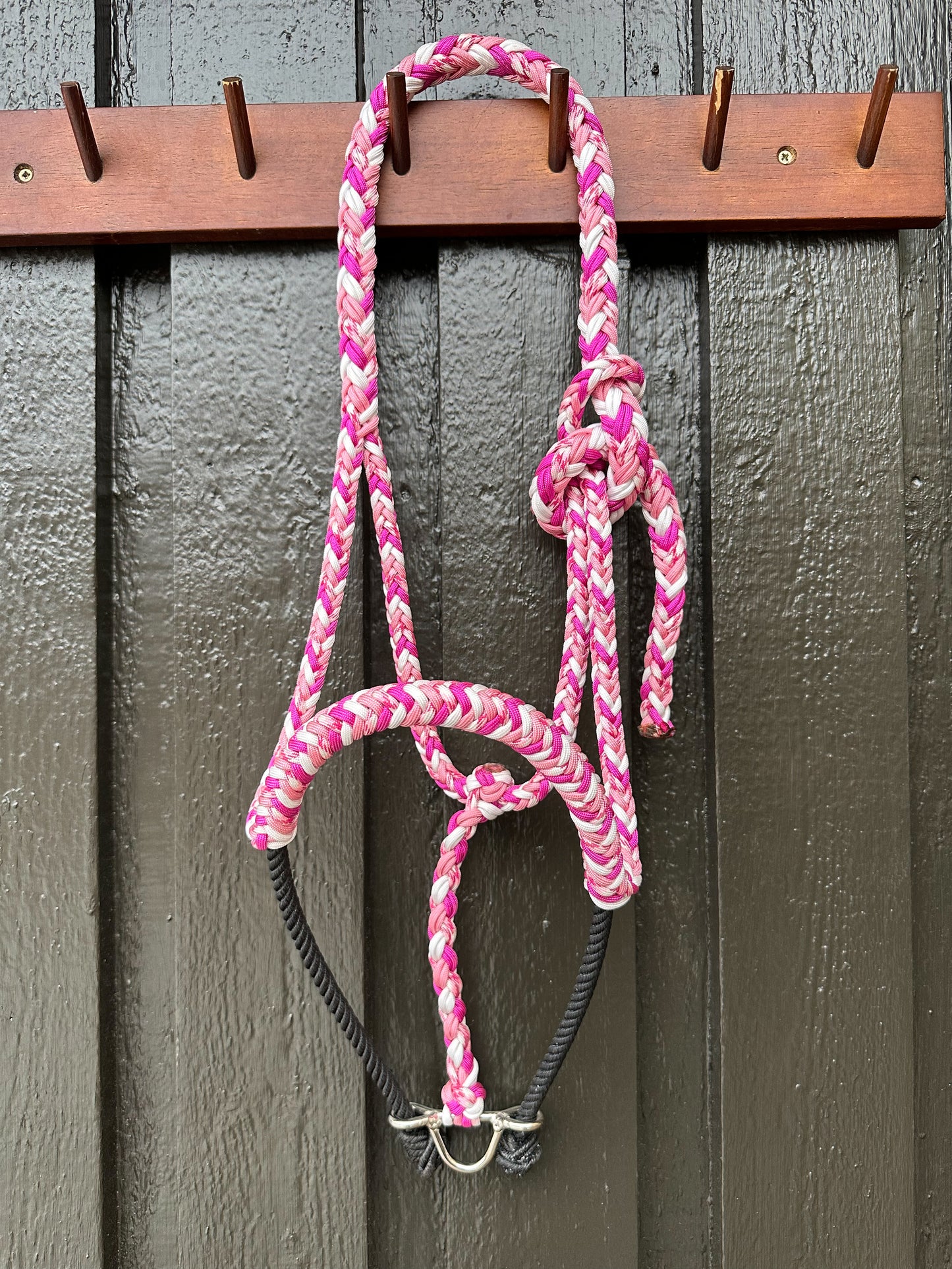 Lariat Halter “Candy Cane”