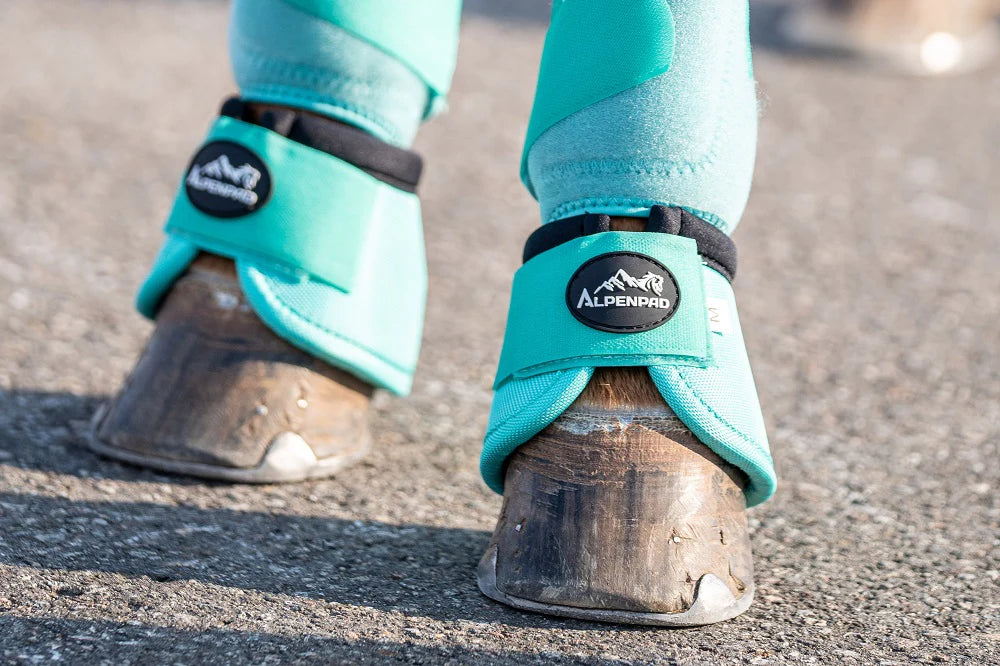 AlpenPad EquiShield No-Turn Bell Boots Turqouise