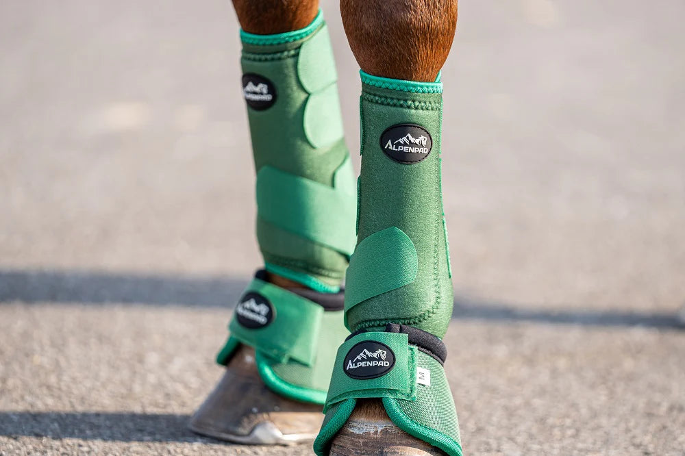 AlpenPad EquiShield Fetlock Support Boots Brown