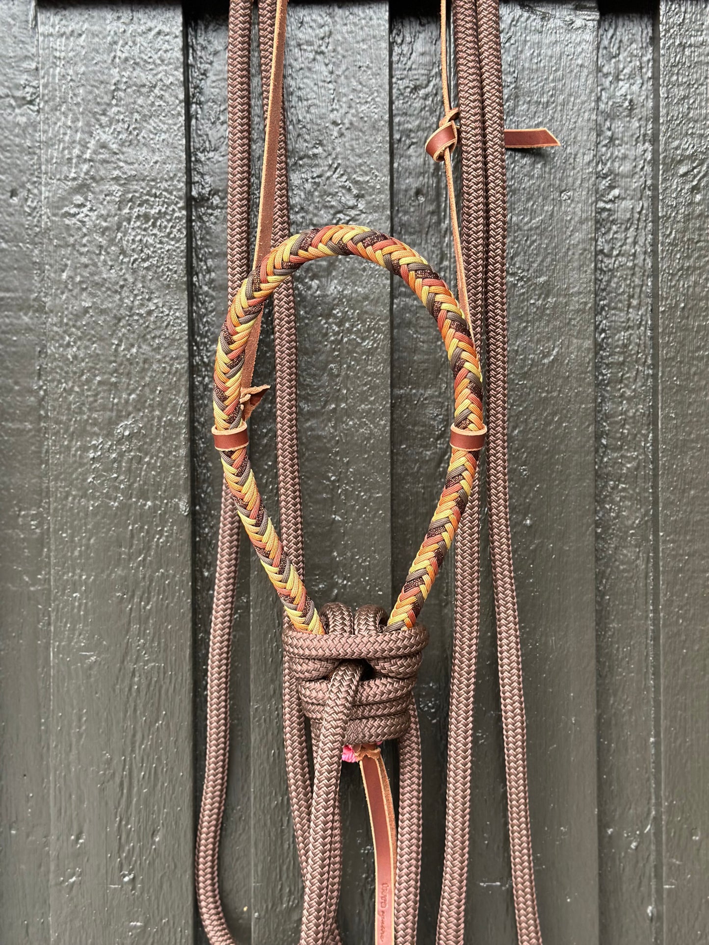 Loping Hackamore Gold Rush