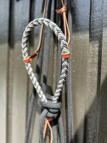 Loping Hackamore 50 Shades