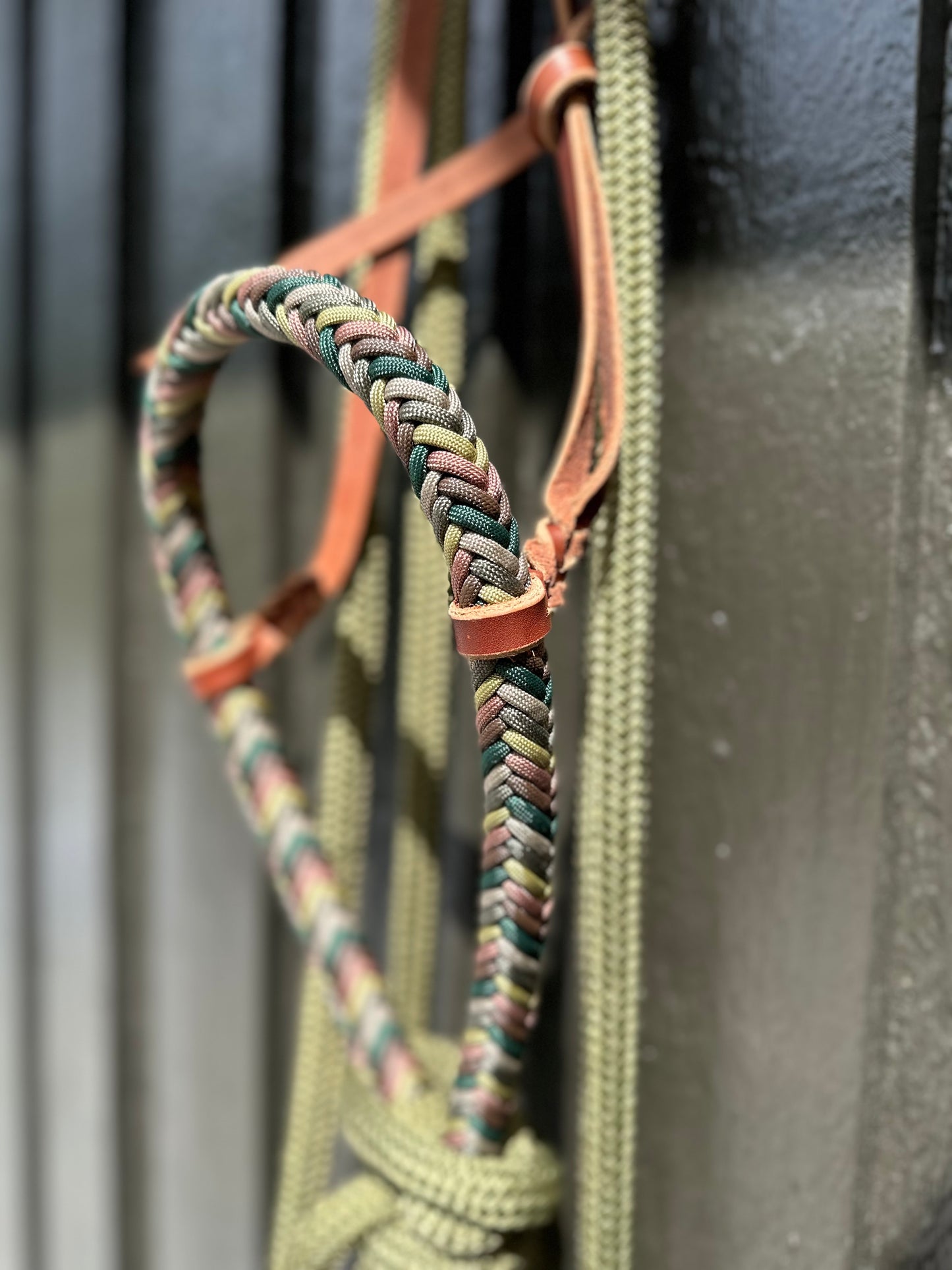 Loping Hackamore Olive Drab