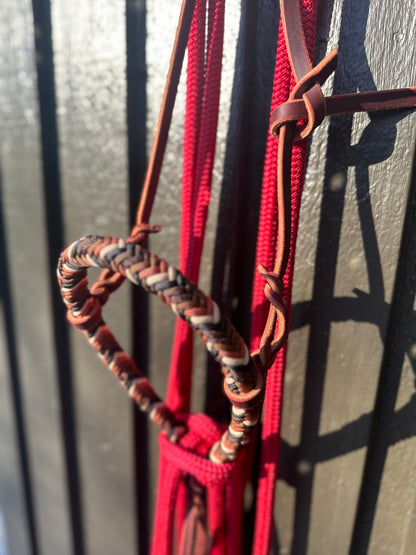 Copper Beech Loping Hackamore