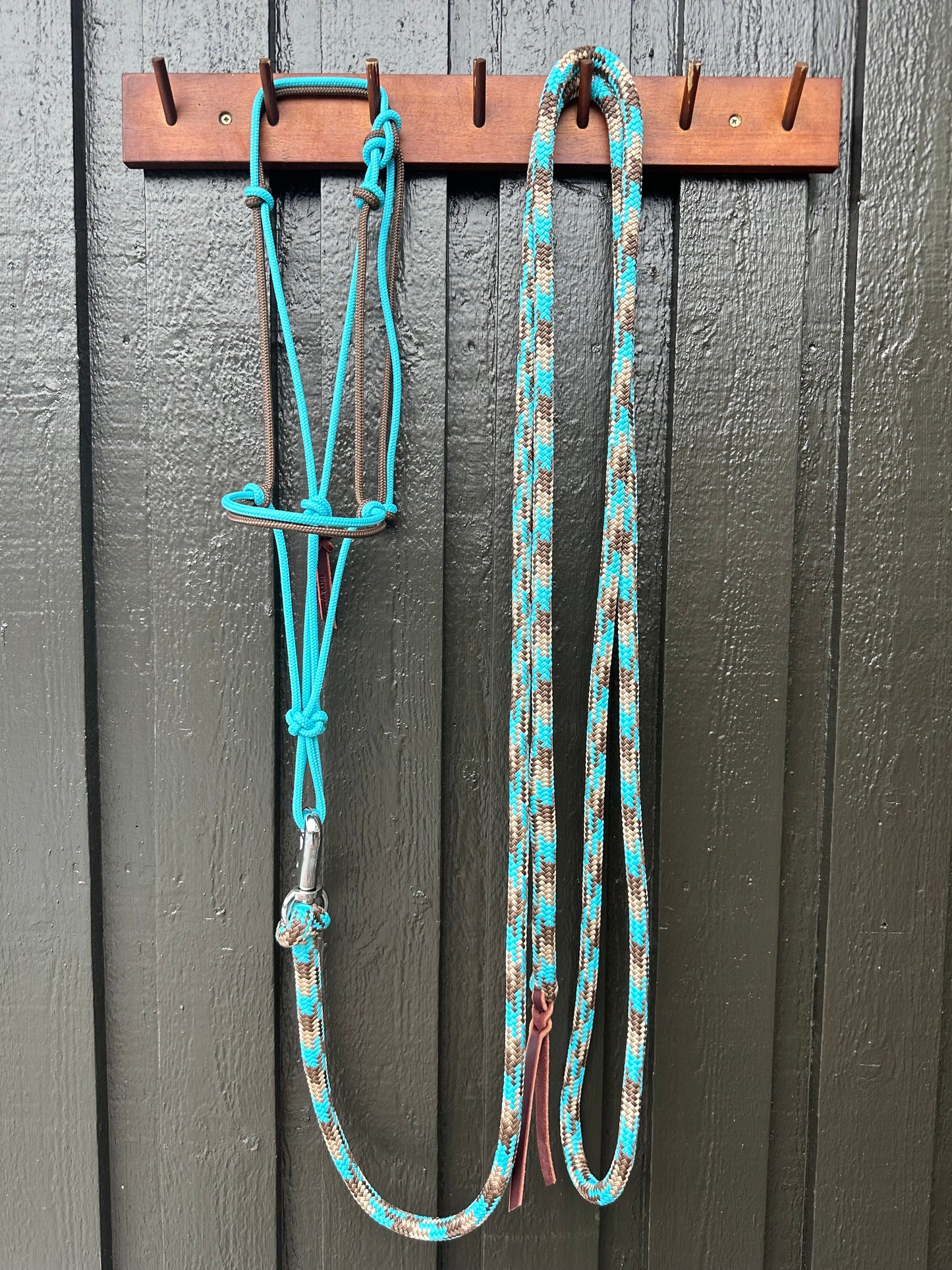 Turquoise Halter & Rope Set