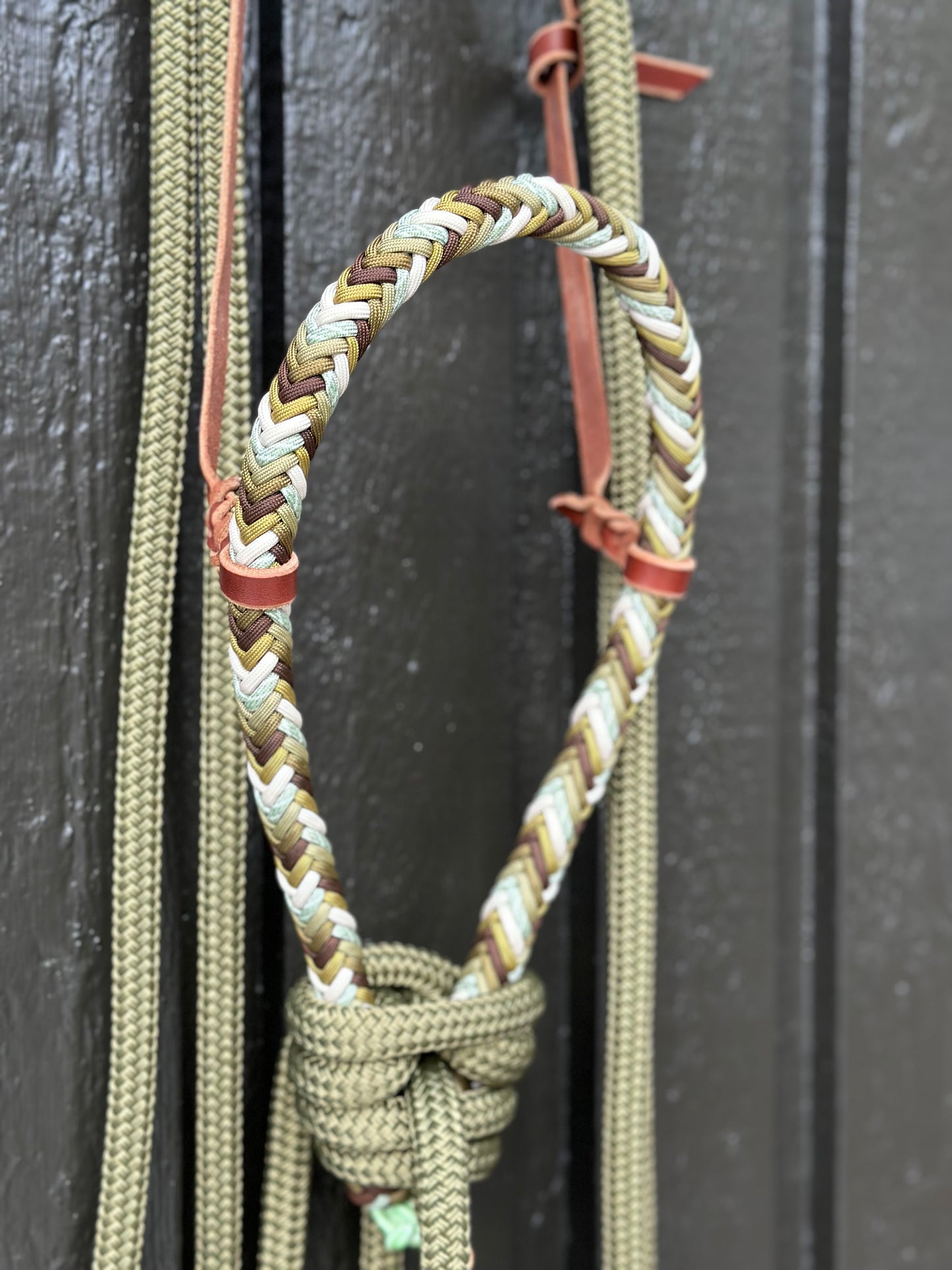 Loping Hackamore Folklore