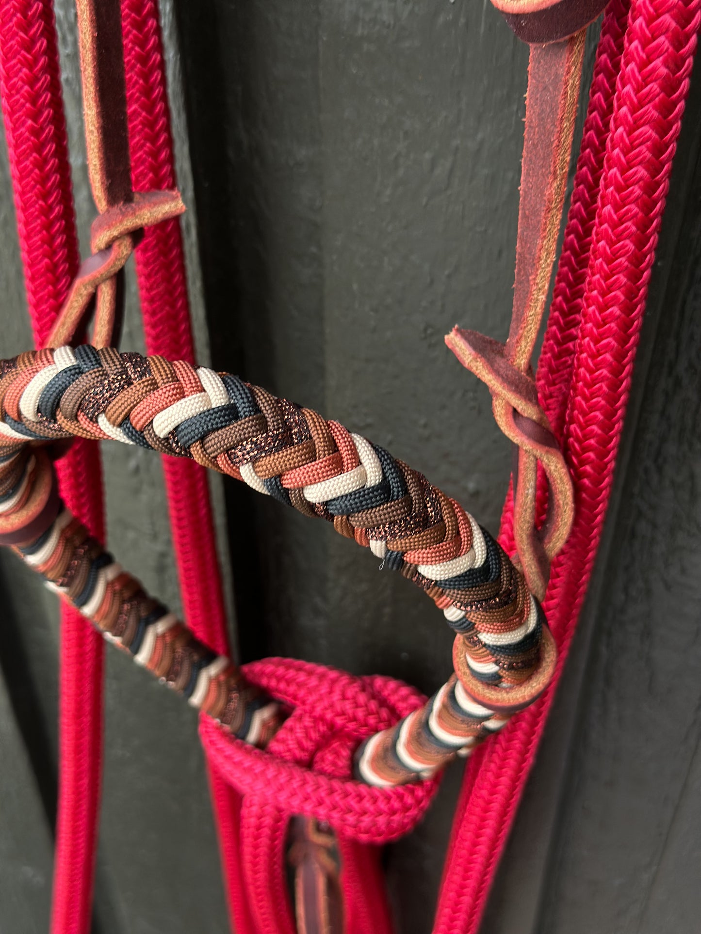 Copper Beech Loping Hackamore