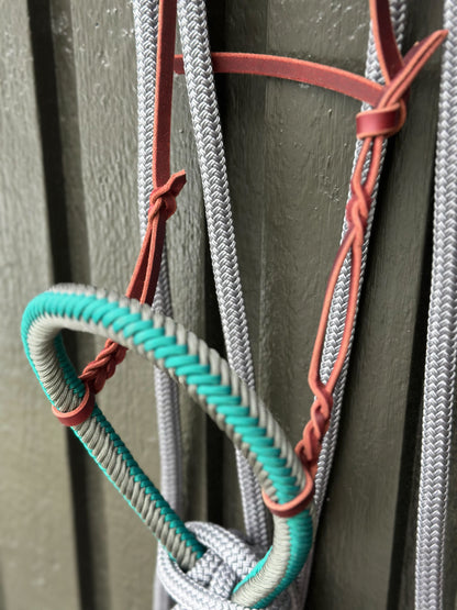 Silvermound Loping Hackamore