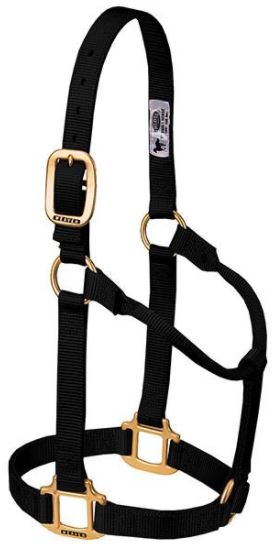 Weaver Original Non-Adjustable Halter