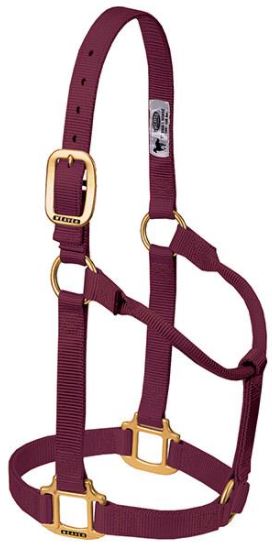 Weaver Original Non-Adjustable Halter